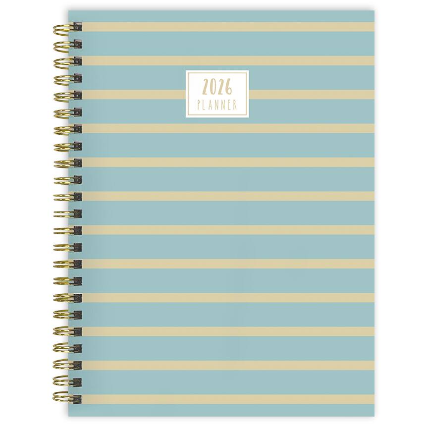 2026 Blue and Gold Lines Medium Weekly Monthly Planner