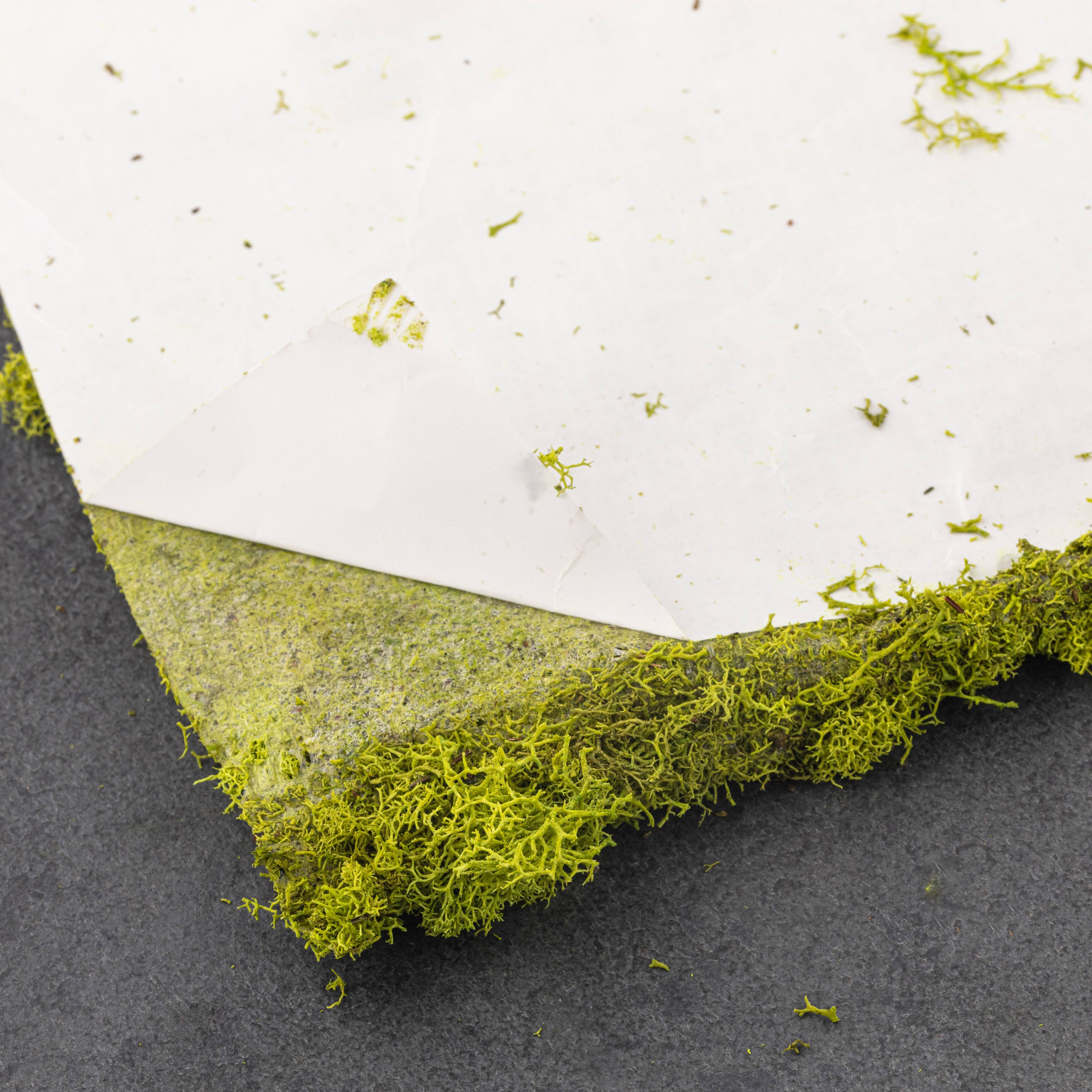 12 Pack: SuperMoss&#xAE; Instant Green&#xAE; Sticky All-Purpose Moss Mat