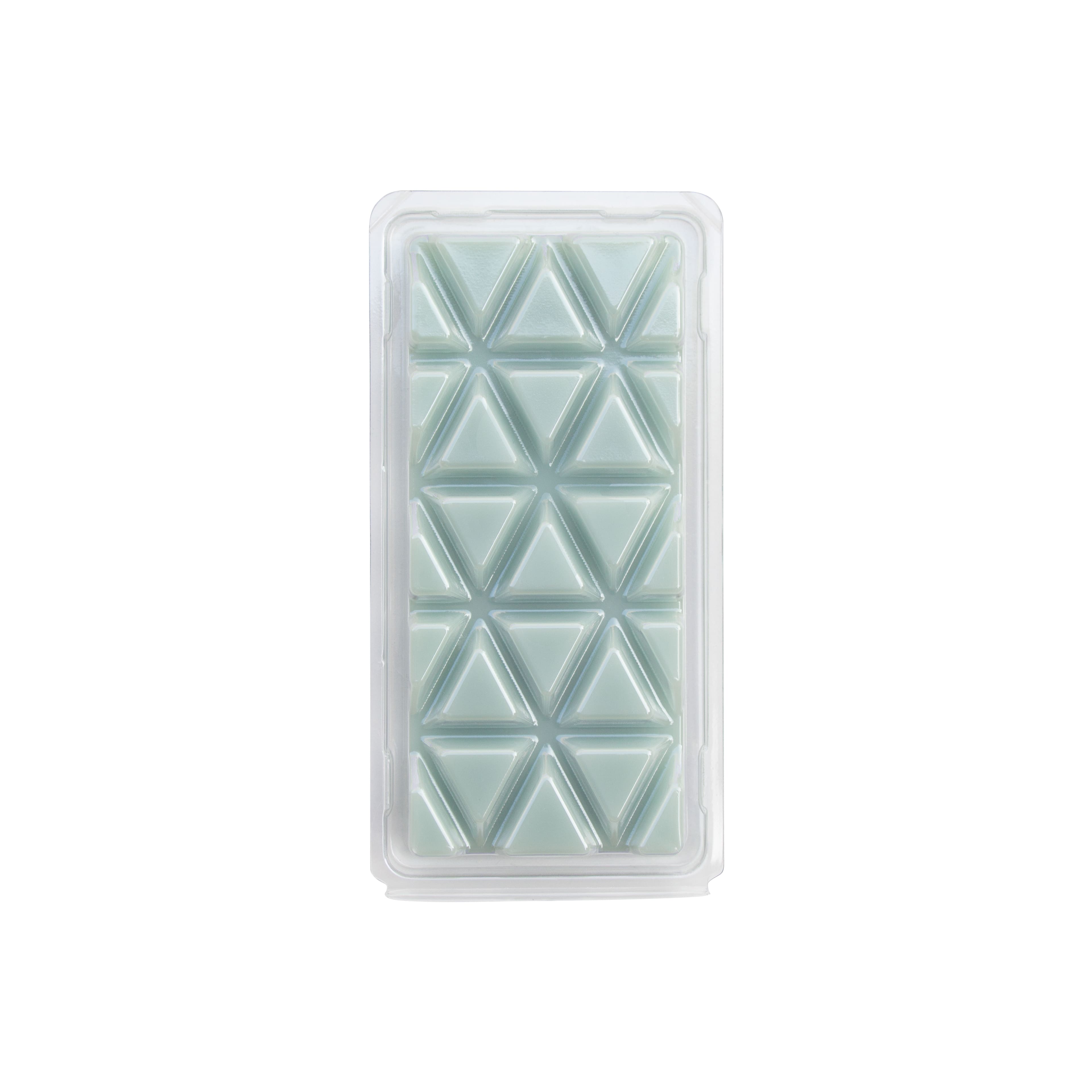 2.5oz. Citron &#x26; Sand Scented Wax Melts by Ashland&#xAE;