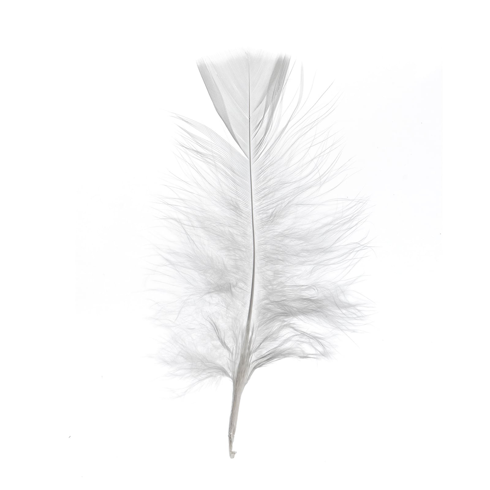 John Bead 4&#x22;-6&#x22; Marabou Feathers
