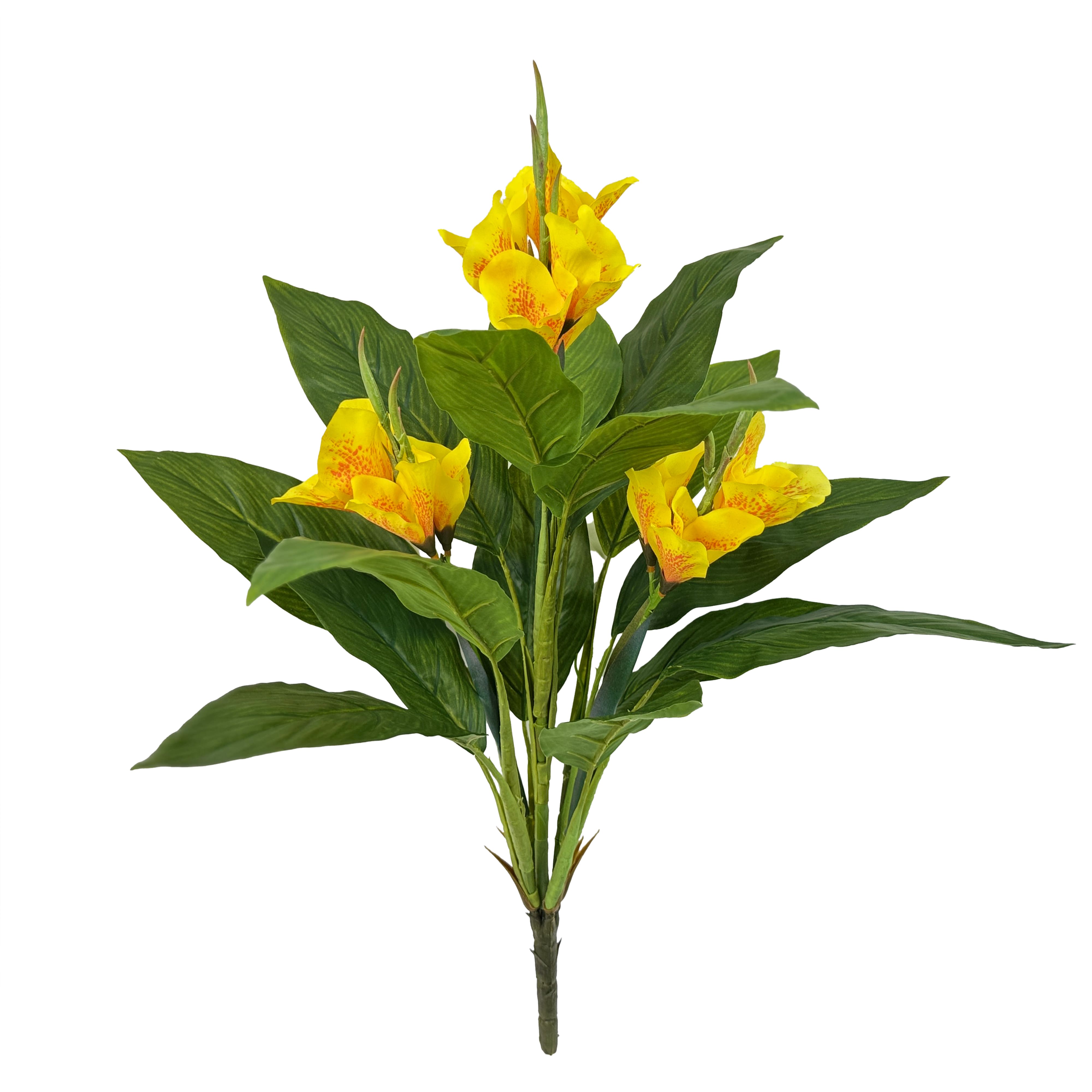 25&#x22; Yellow Canna Bush by Ashland&#xAE;