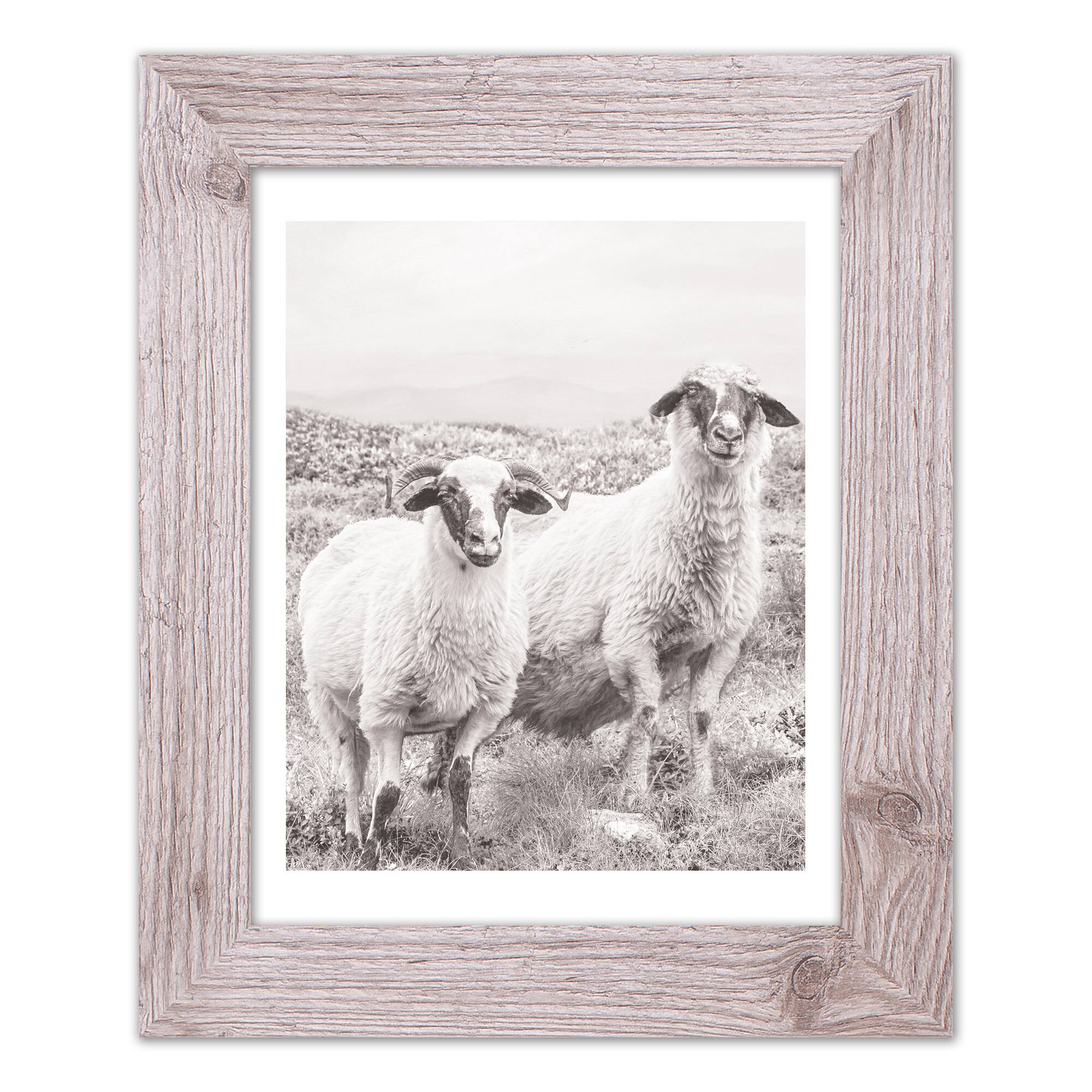 Sheep on Hill Western Framed Print