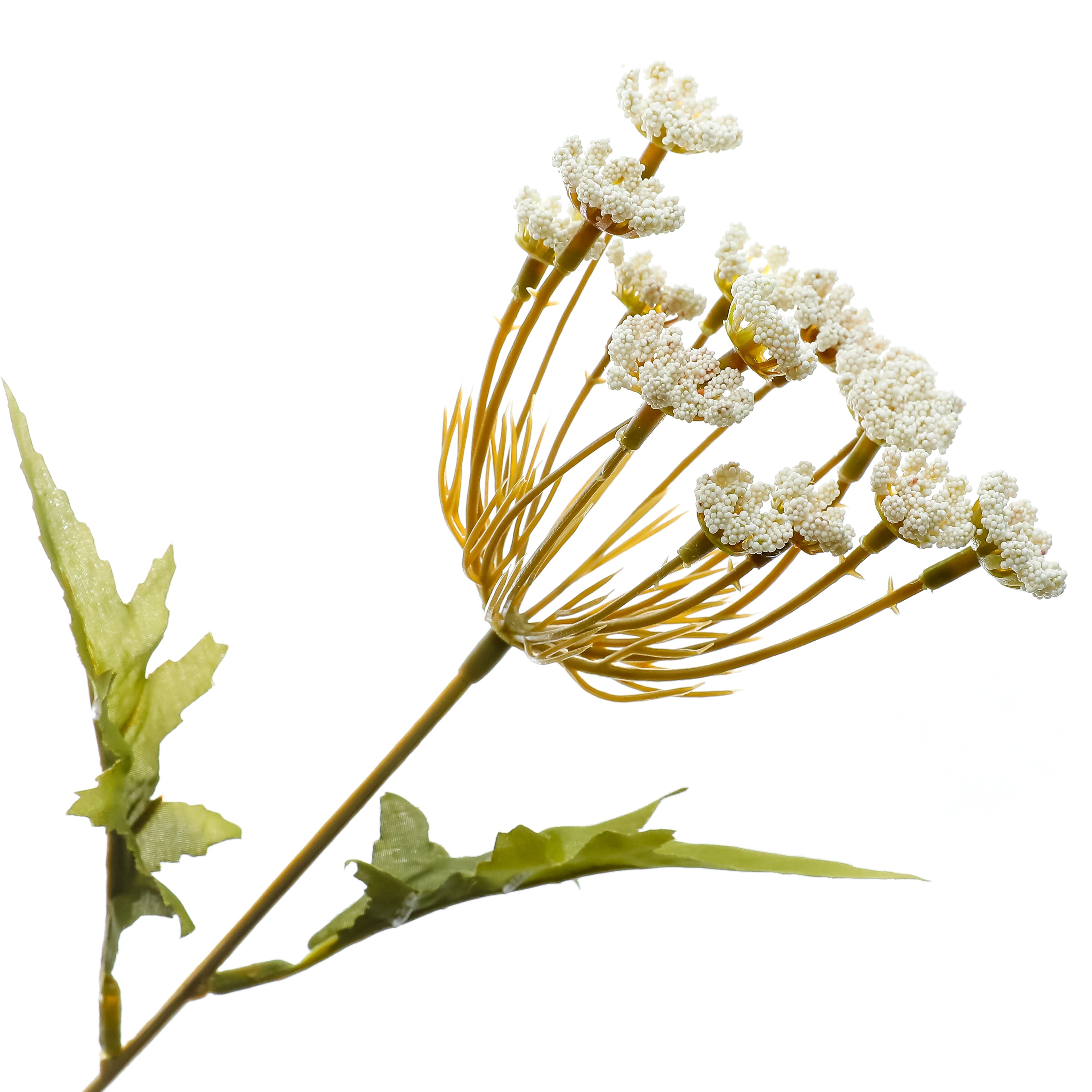 36&#x22; Cream Queen Anne&#x27;s Lace Stem by Ashland&#xAE; 