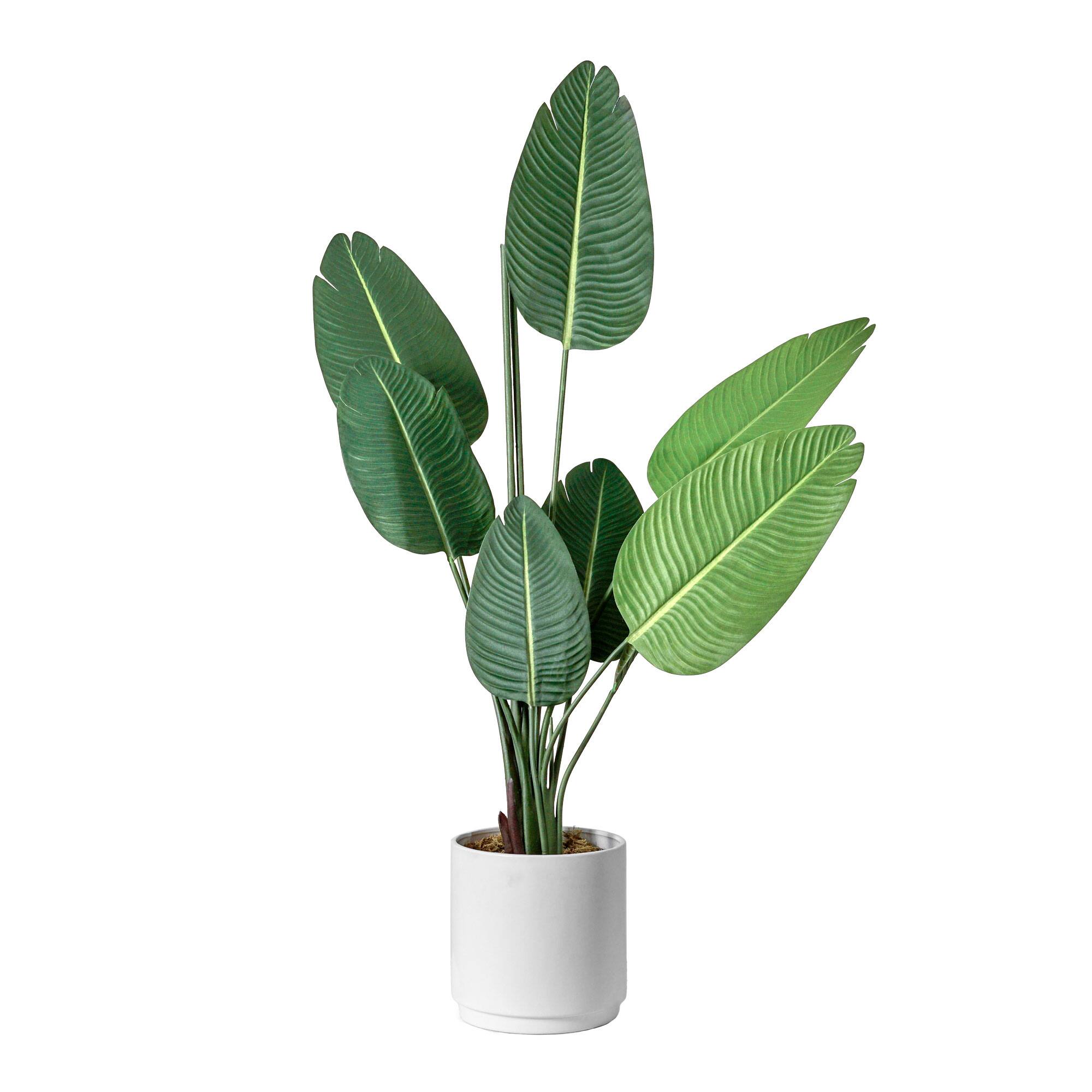 American Art Decor 5ft. Banana Palm Tree in White Ceramic Pot