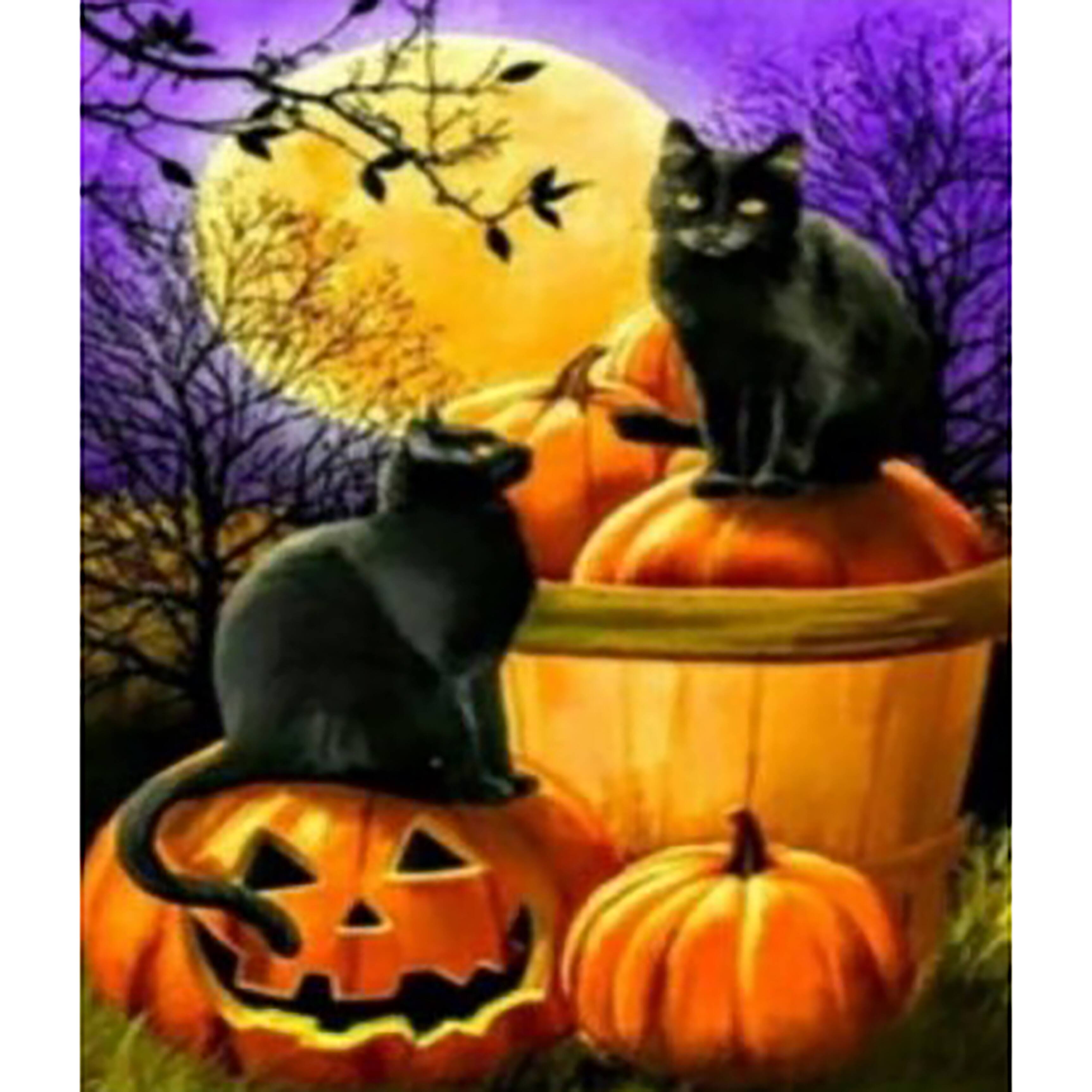 Sparkly Selections Halloween Cats Diamond Painting Kit, Round Diamonds