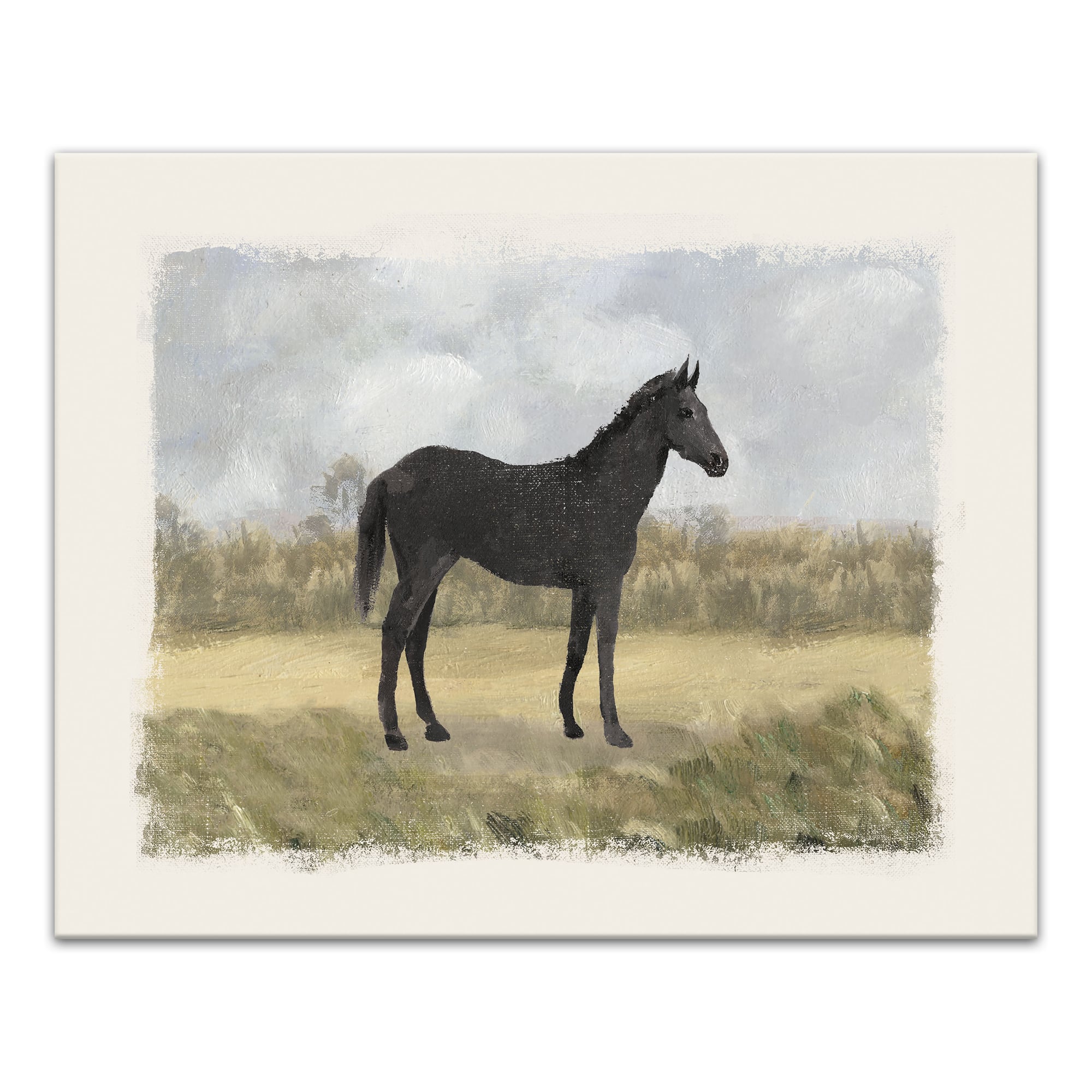 Vintage Horse Portrait 20" x 16" Canvas Wall Art