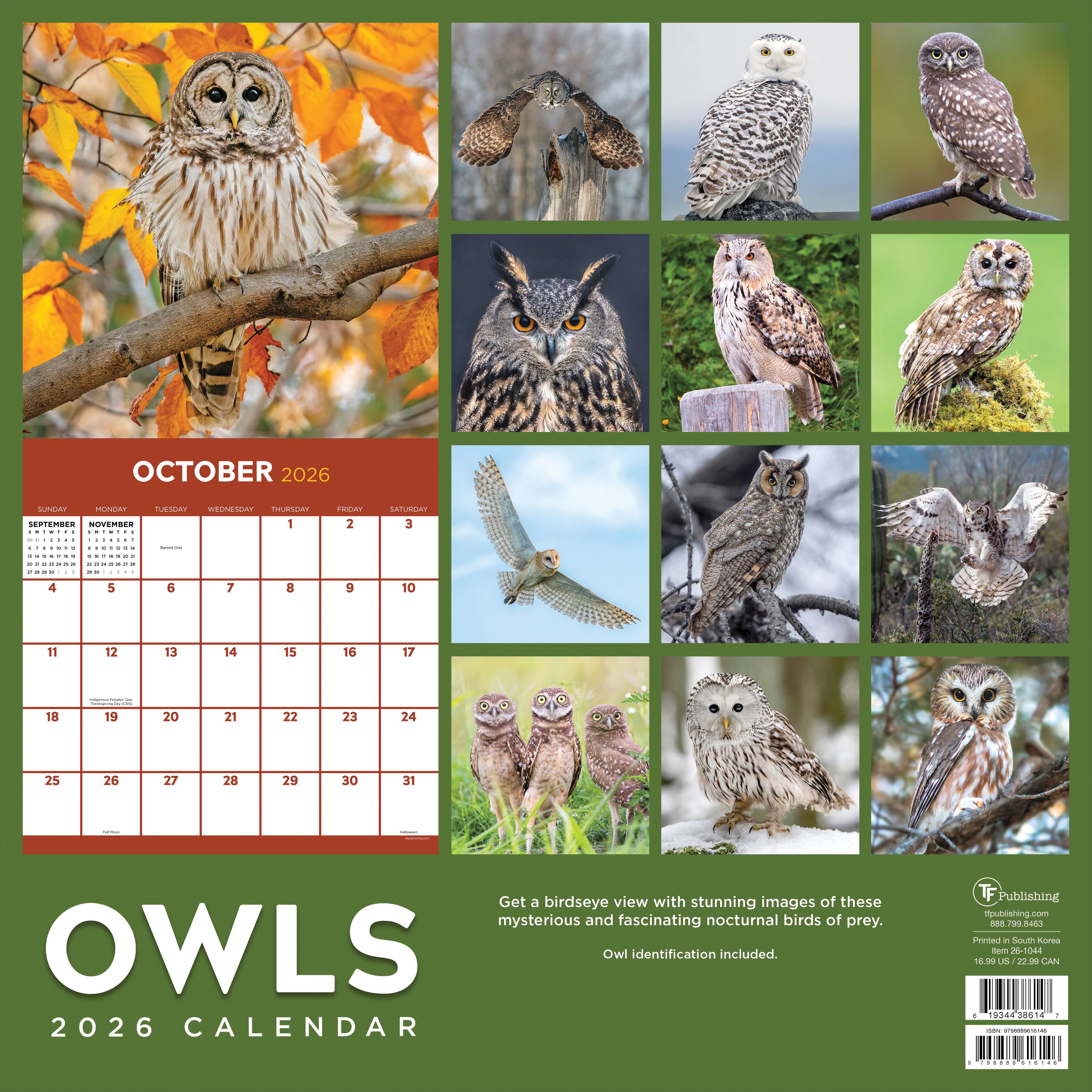 2026 Owls Wall Calendar