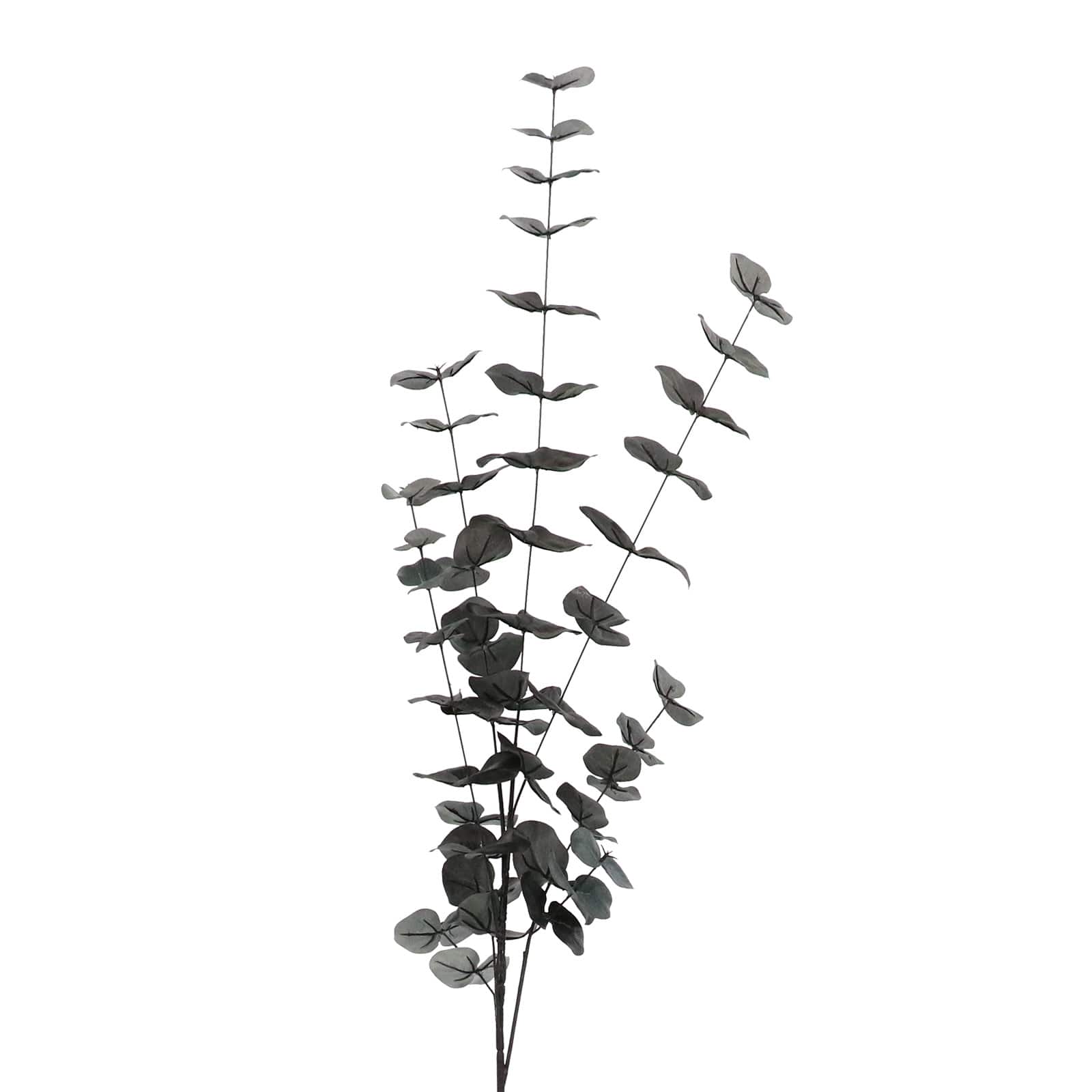 12 Pack: 46" Tall Black Eucalyptus Stem by Ashland®