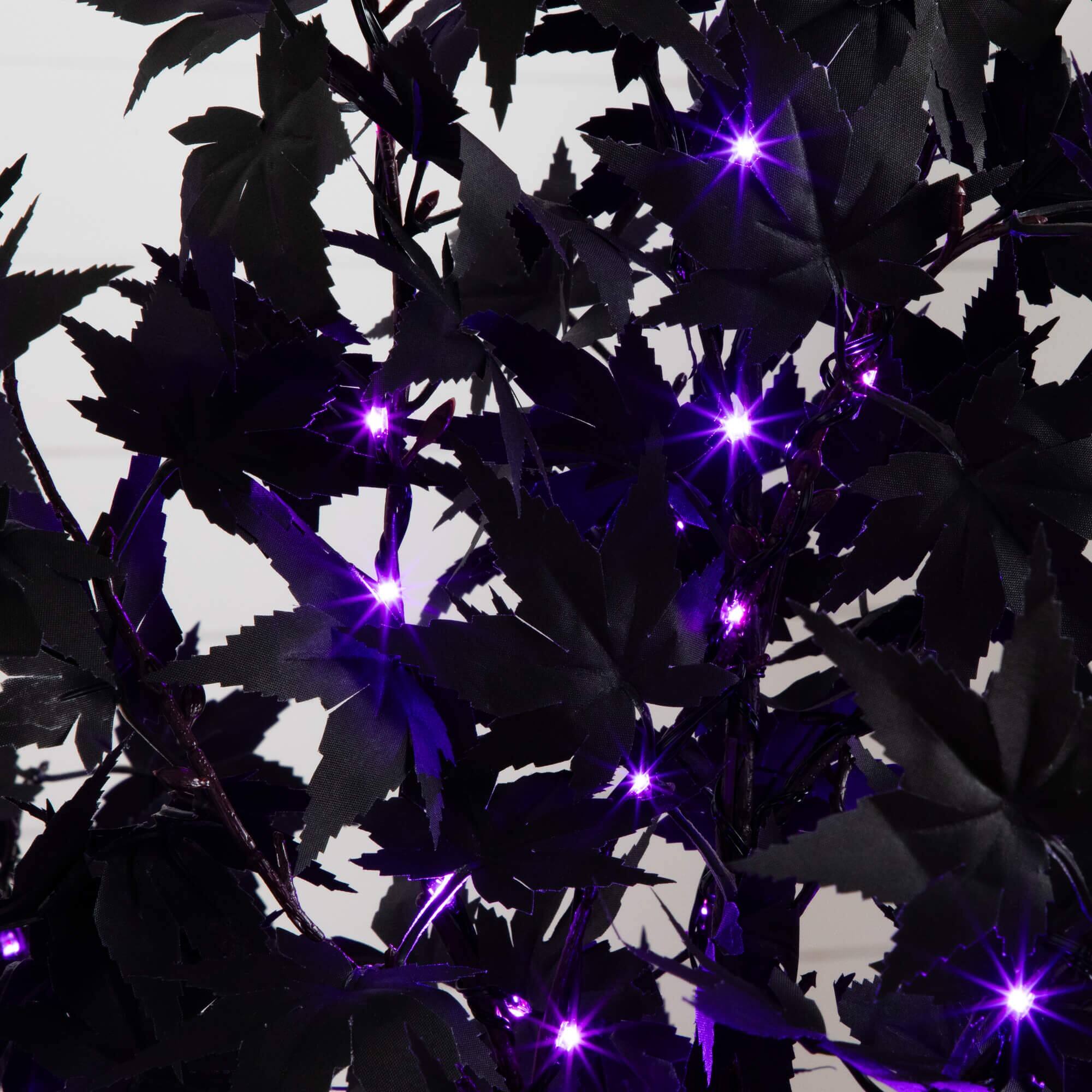 5ft. Pre-Lit Artificial Halloween Black Maple Tree with 240 Orange &#x26; Purple LED Lights