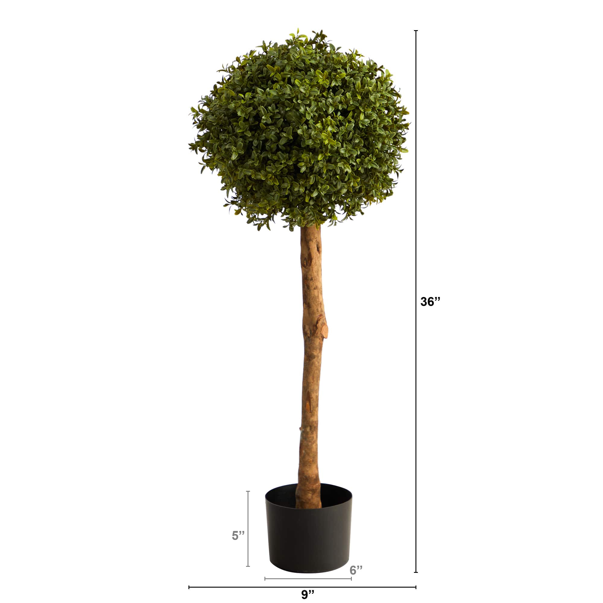 3ft. Potted Boxwood Ball Topiary Tree