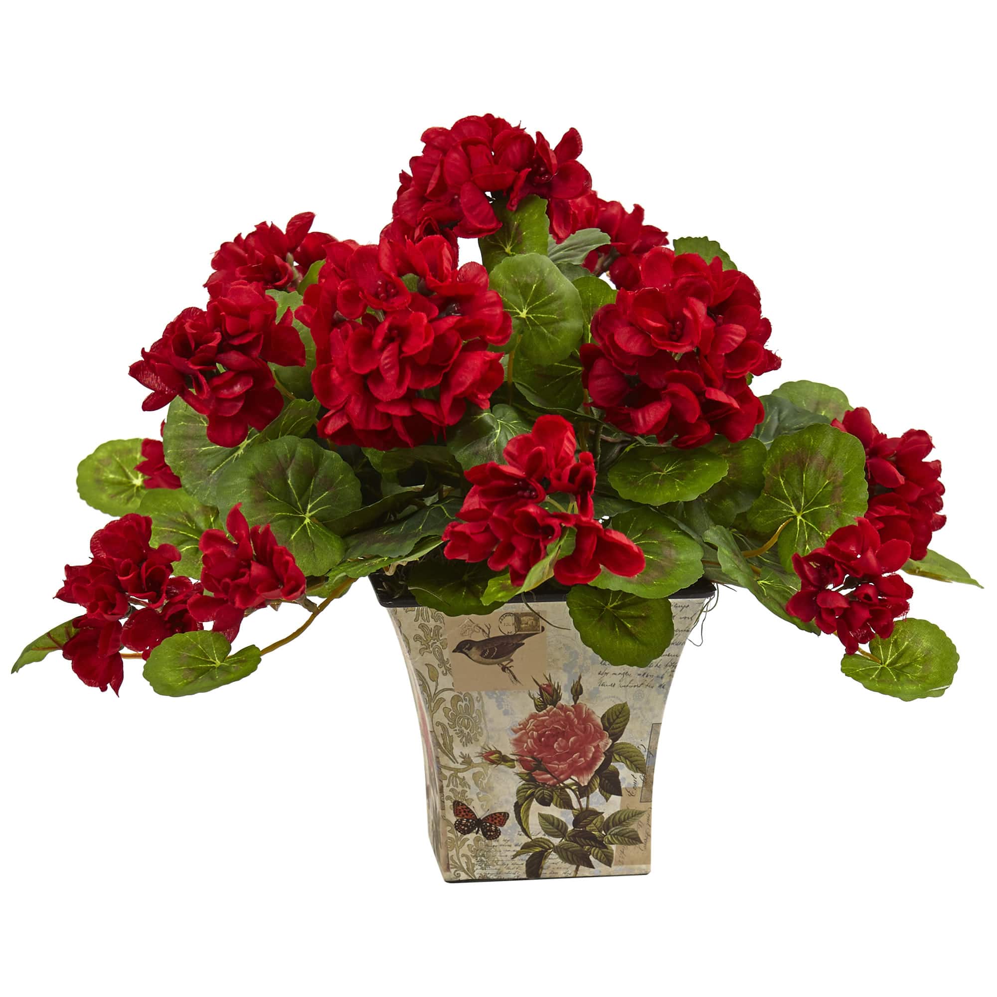 11" Geranium in Floral Planter, 2ct.
