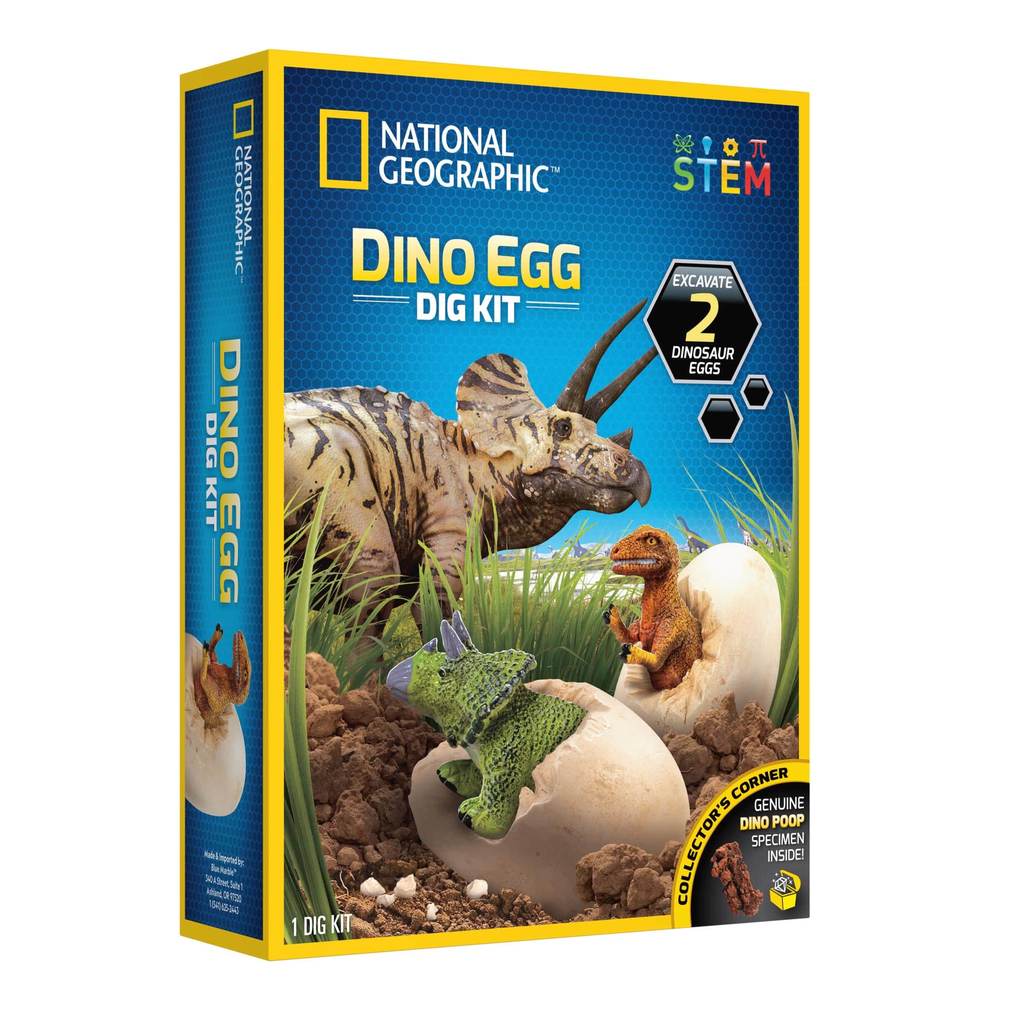National Geographic&#x2122; Dino Egg Dig Kit