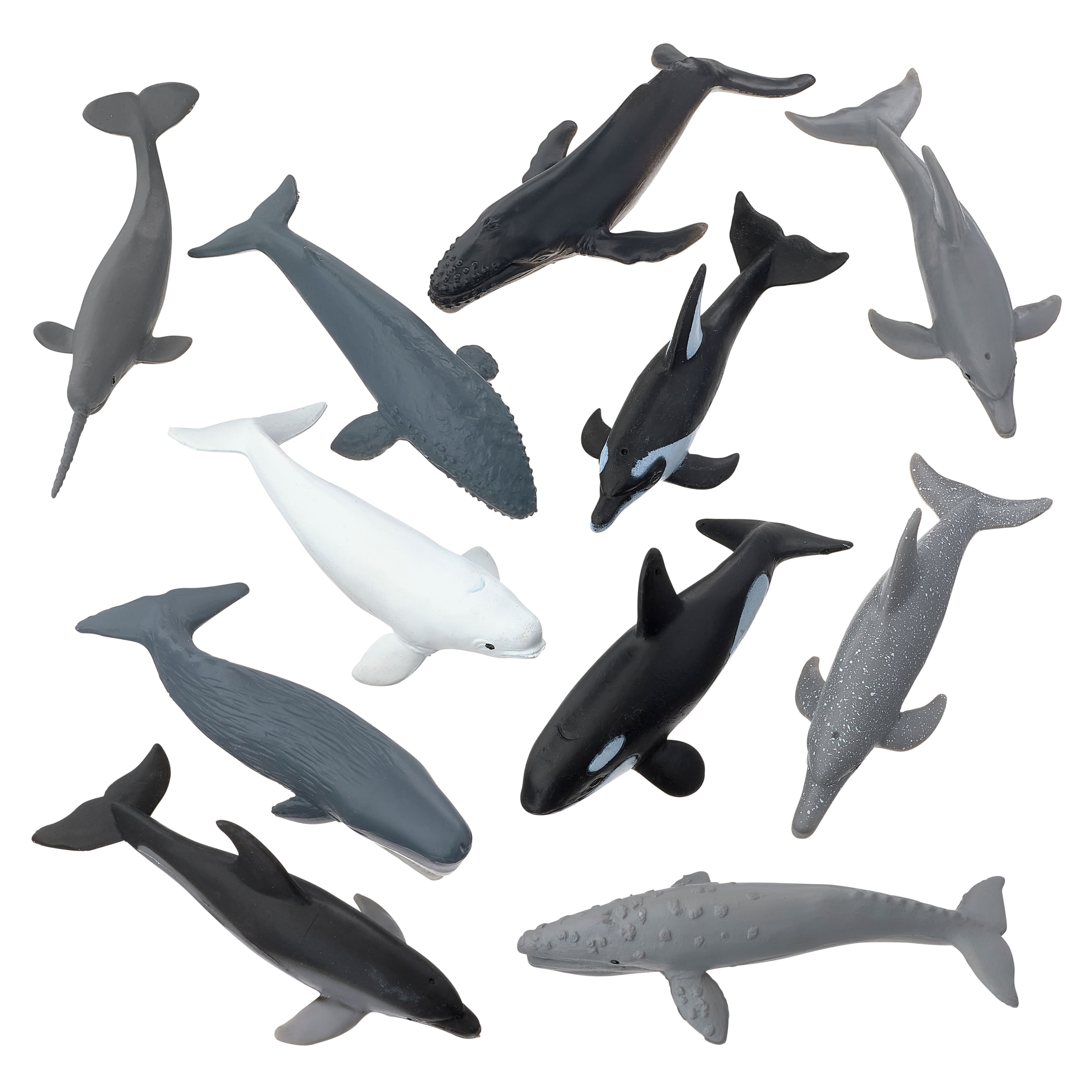 Safari Ltd&#xAE; TOOBS&#xAE; Whales &#x26; Dolphins