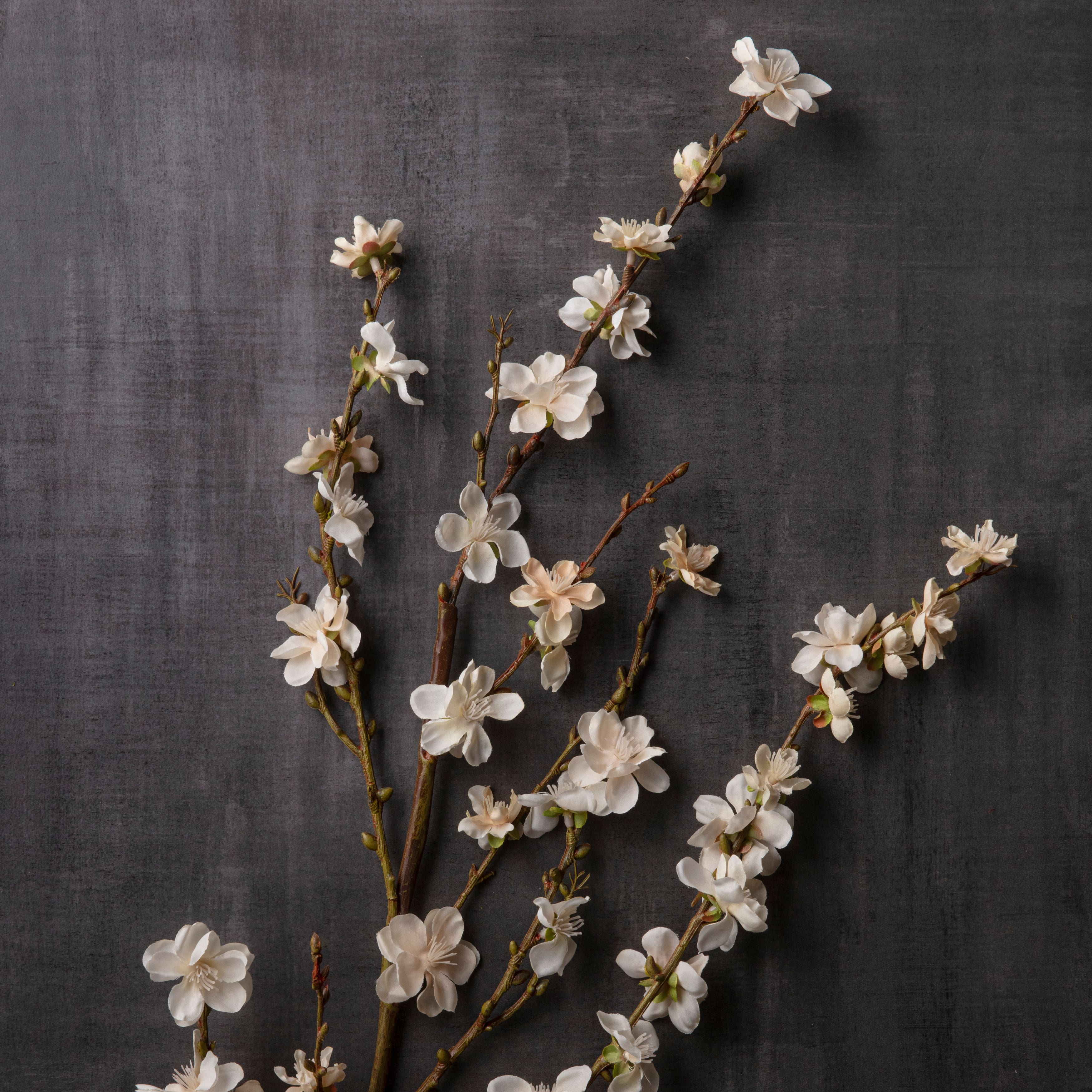 12 Pack: Cream Peach Blossom Stem by Ashland®