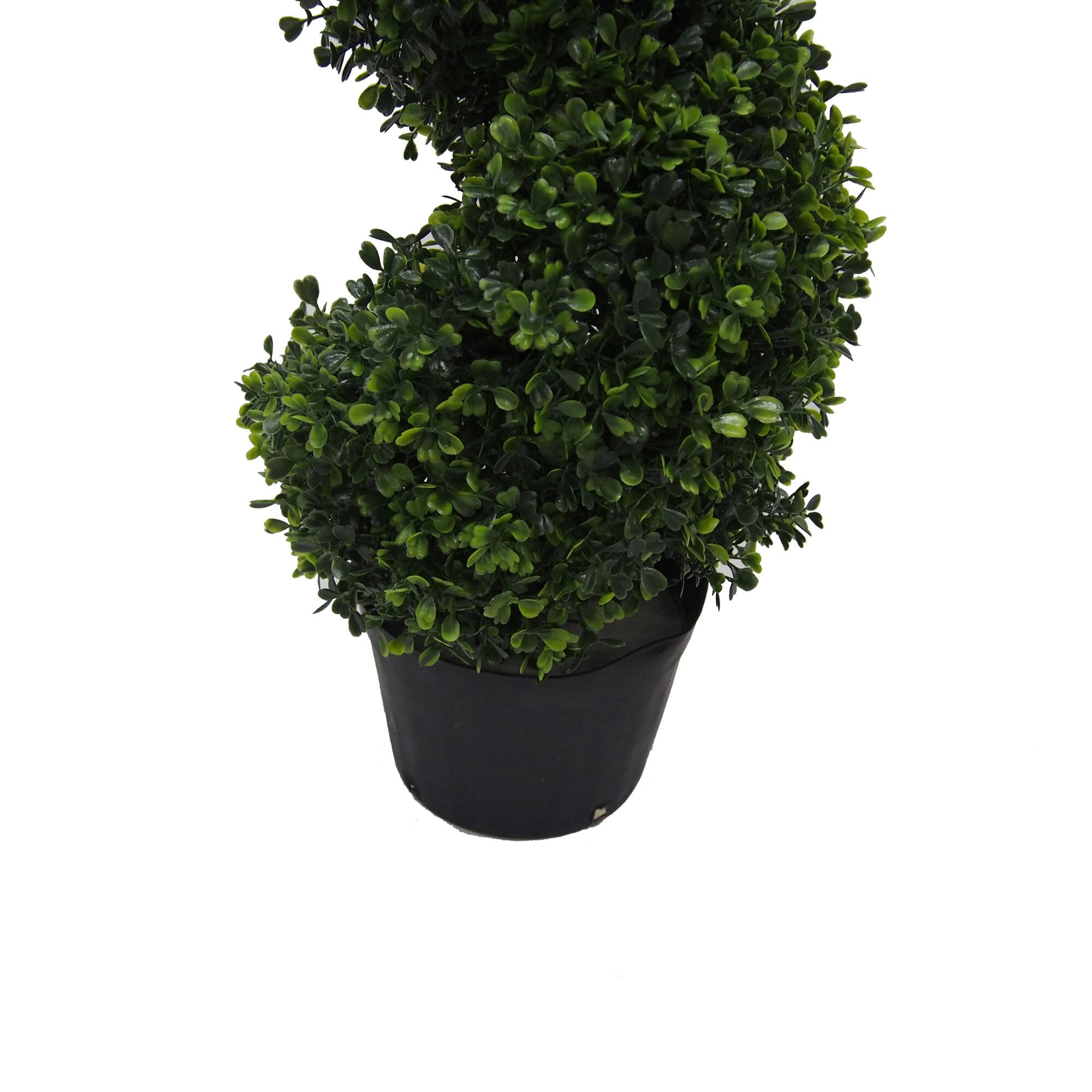 3ft. Potted Boxwood Spiral Tree