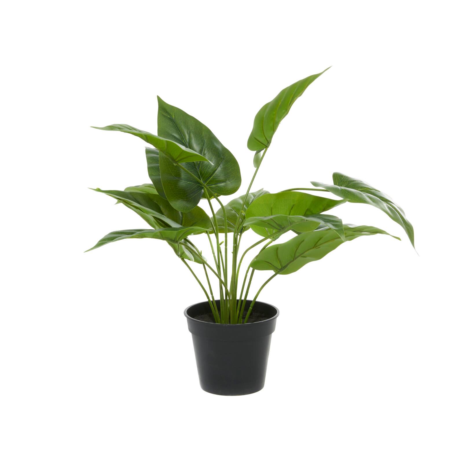 Green Plastic Traditional Artificial Foliage, 17&#x22; x 21&#x22; x 17&#x22;