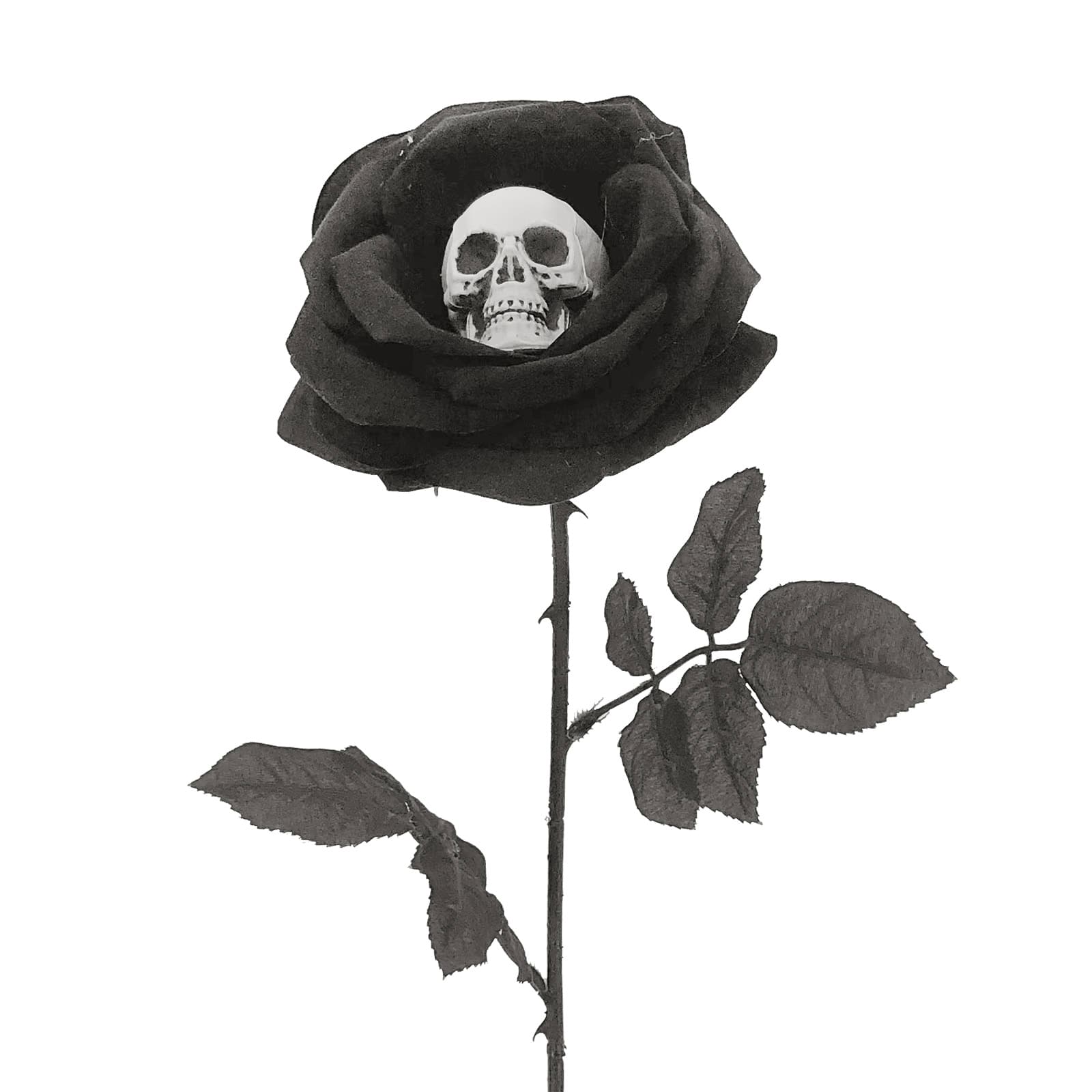 22&#x22; Black-Purple Rose with Skull Stem by Ashland&#xAE;