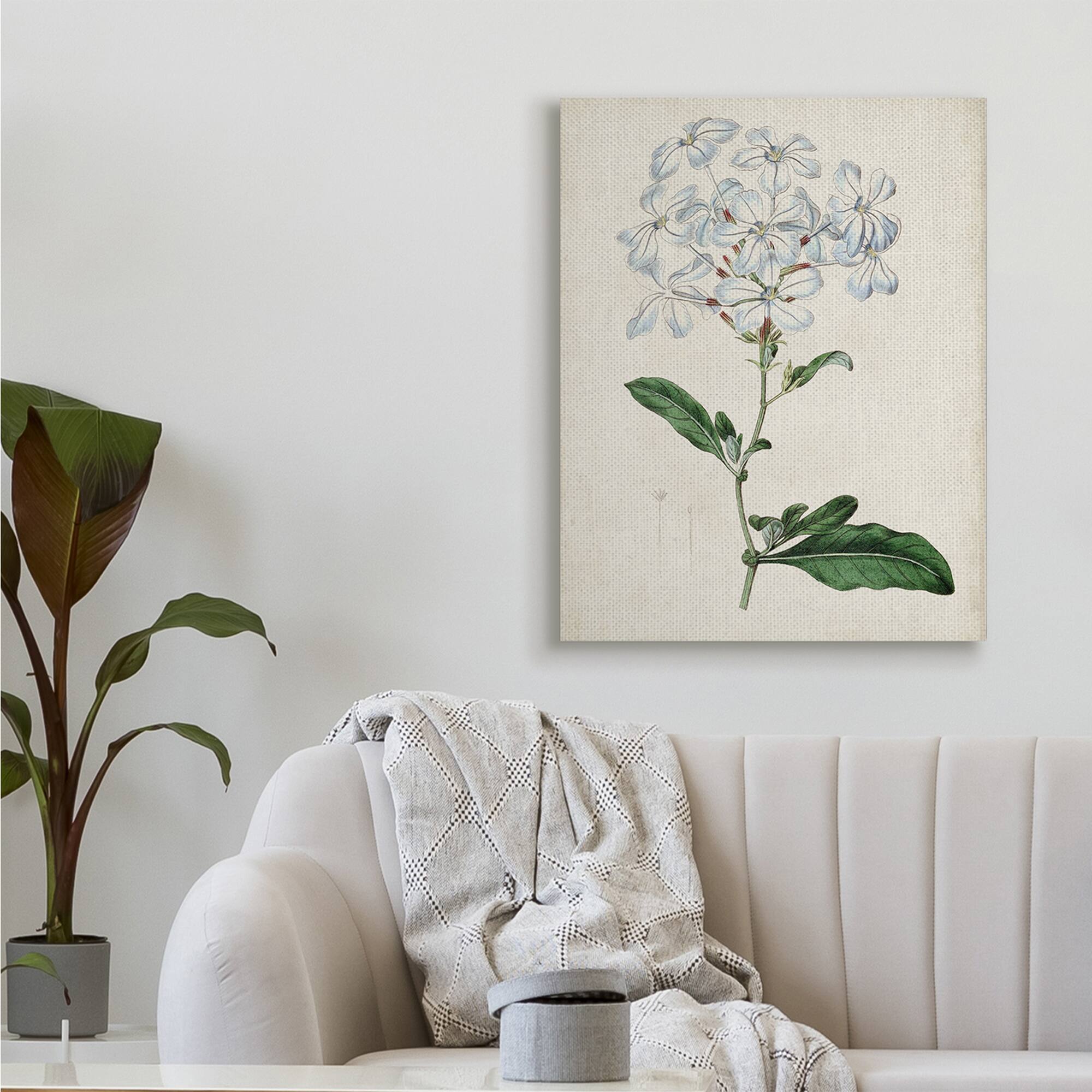 Stupell Industries Rustic Garden Floral Study Charming White Blossoms Canvas Wall Art