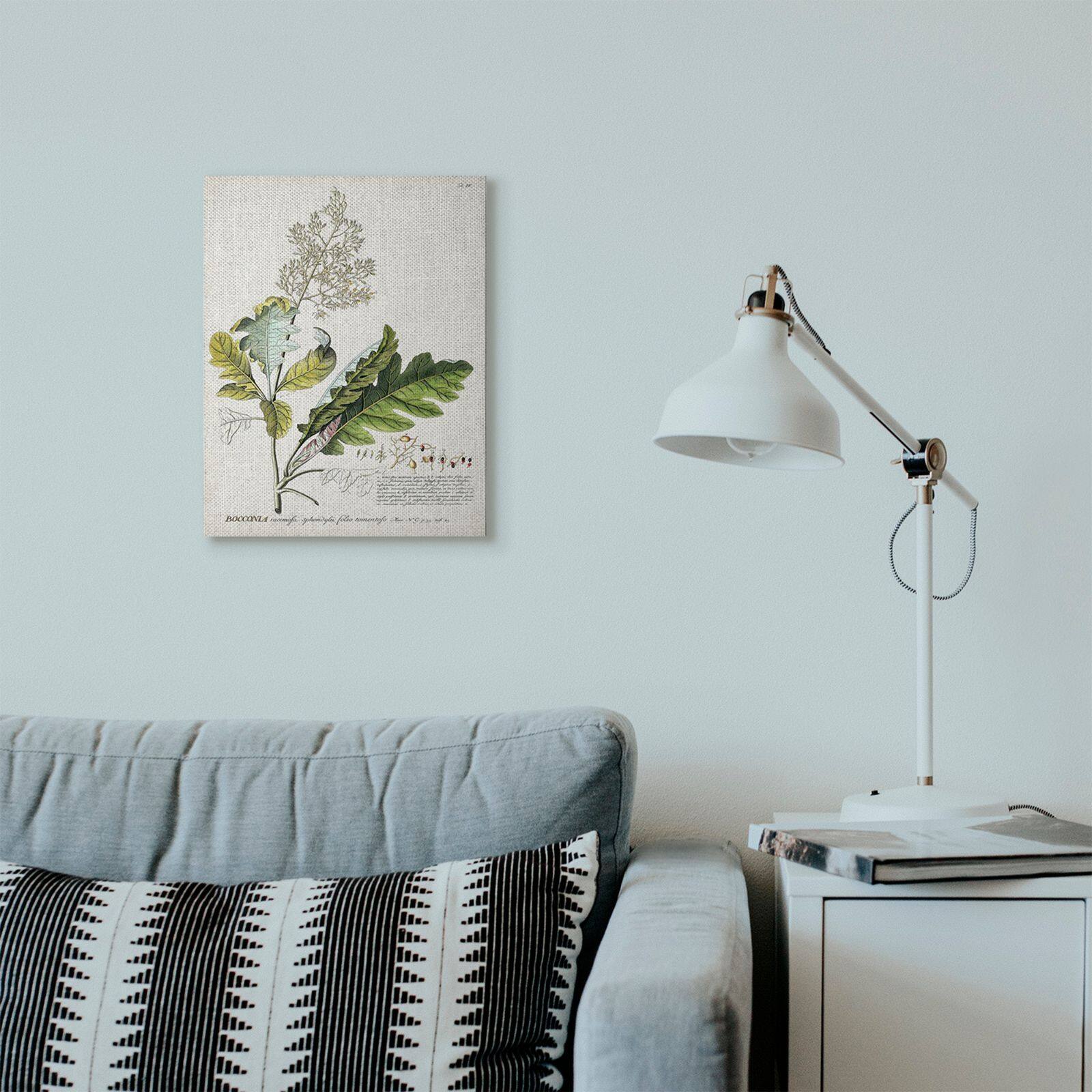 Stupell Industries Vintage Botanical Illustration Canvas Wall Art