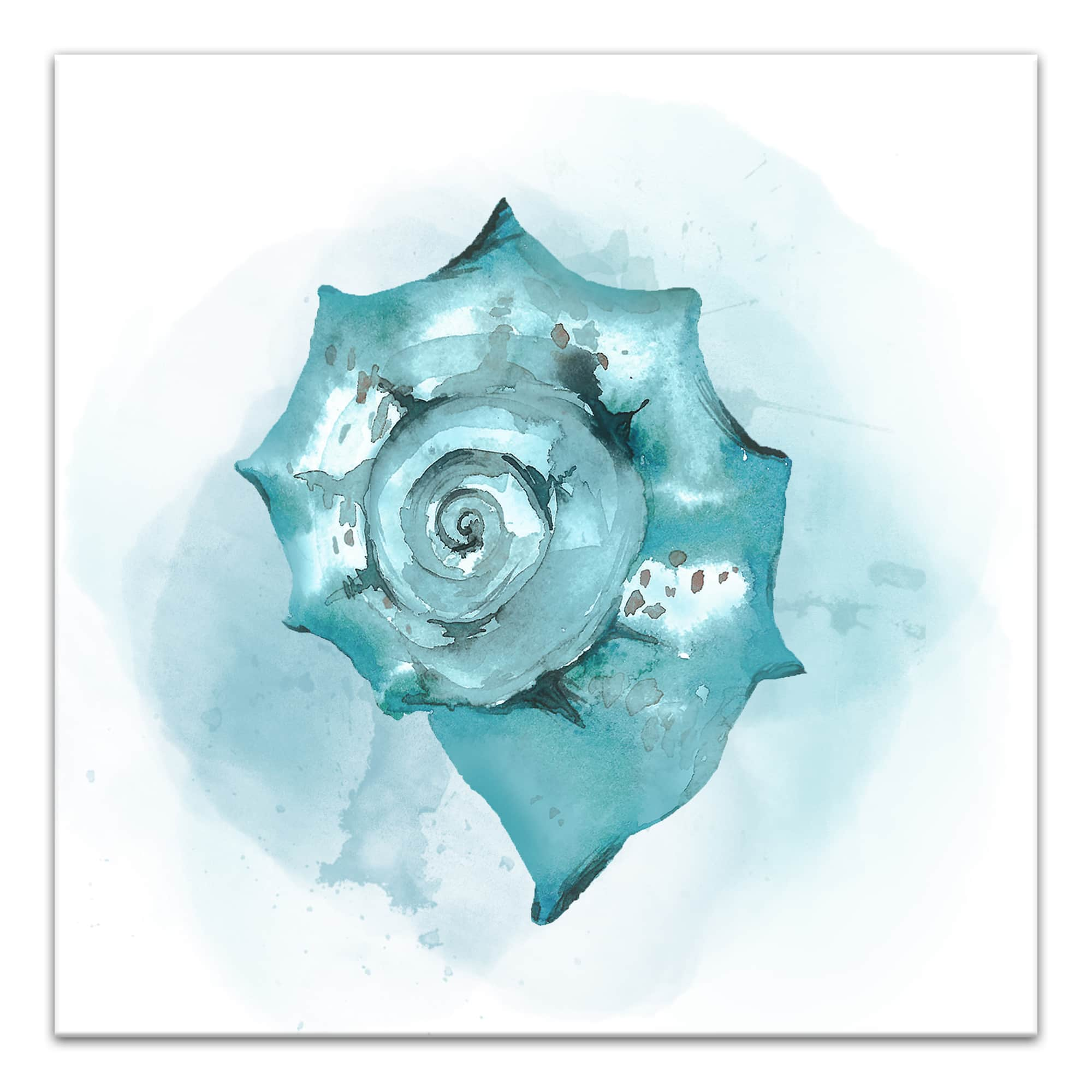 Blue Seashell 12&#x22; x 12&#x22; Canvas Wall Art