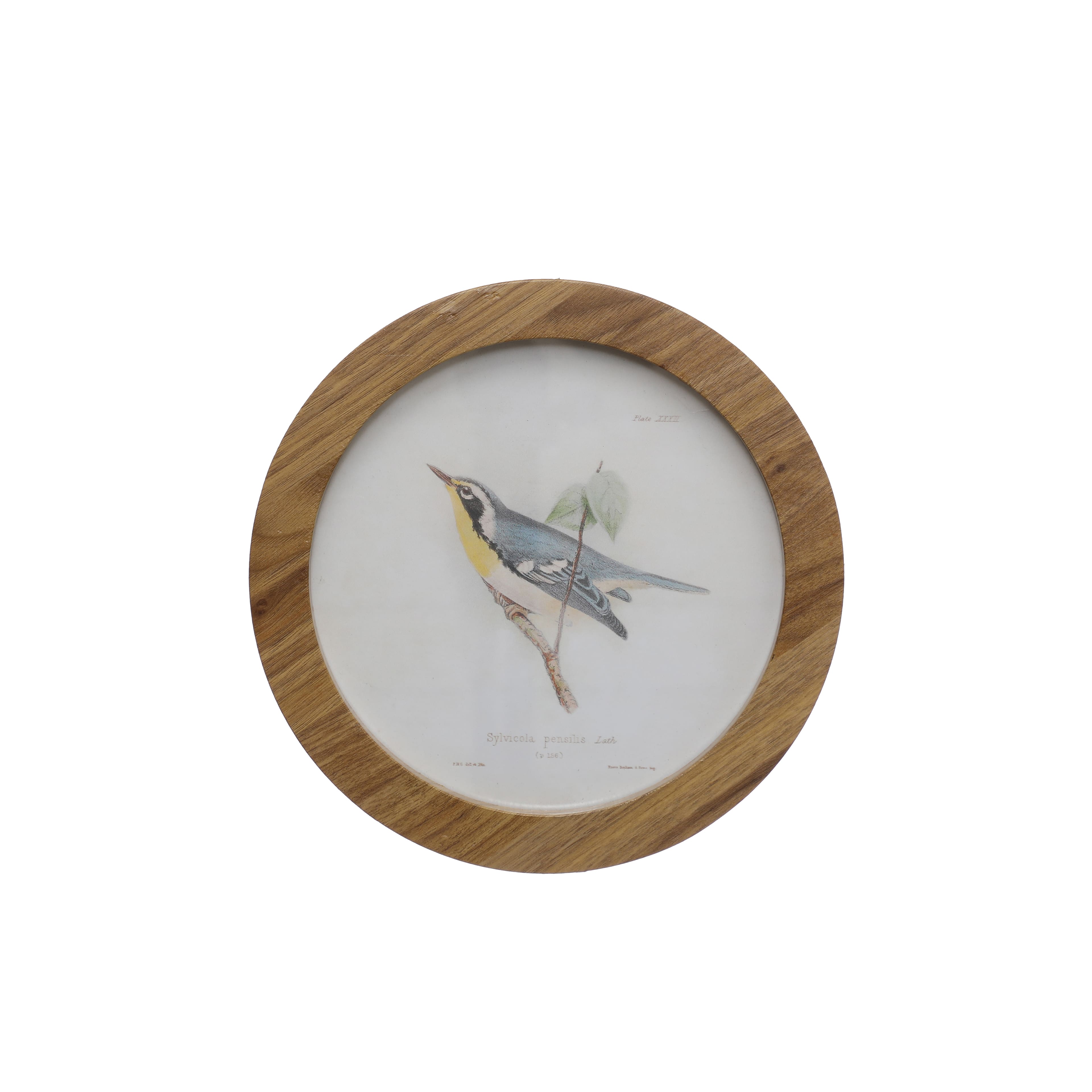Bird D Wall D&#xE9;cor by Ashland&#xAE;