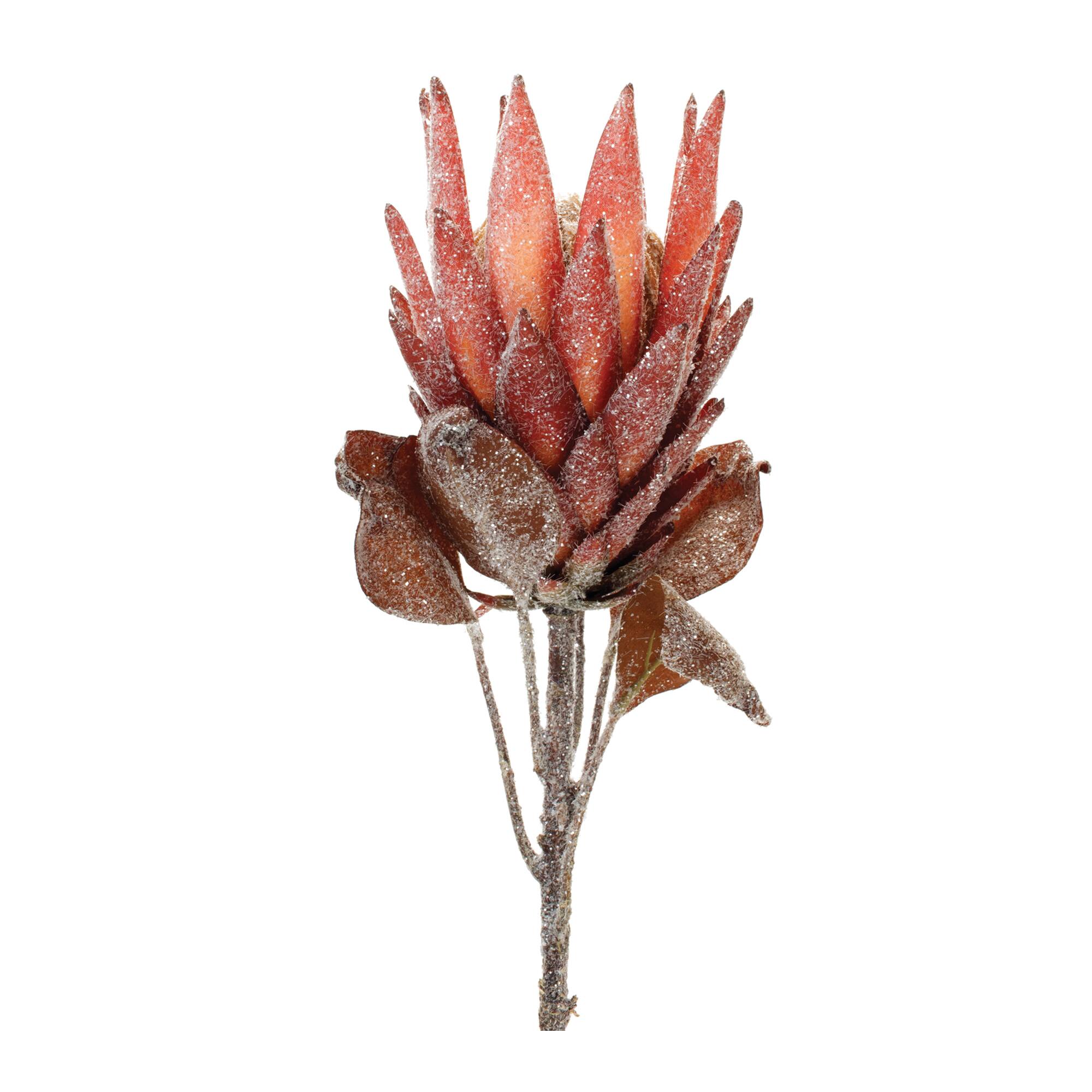 29.25&#x22; Red Protea Flower Stems, 2ct.