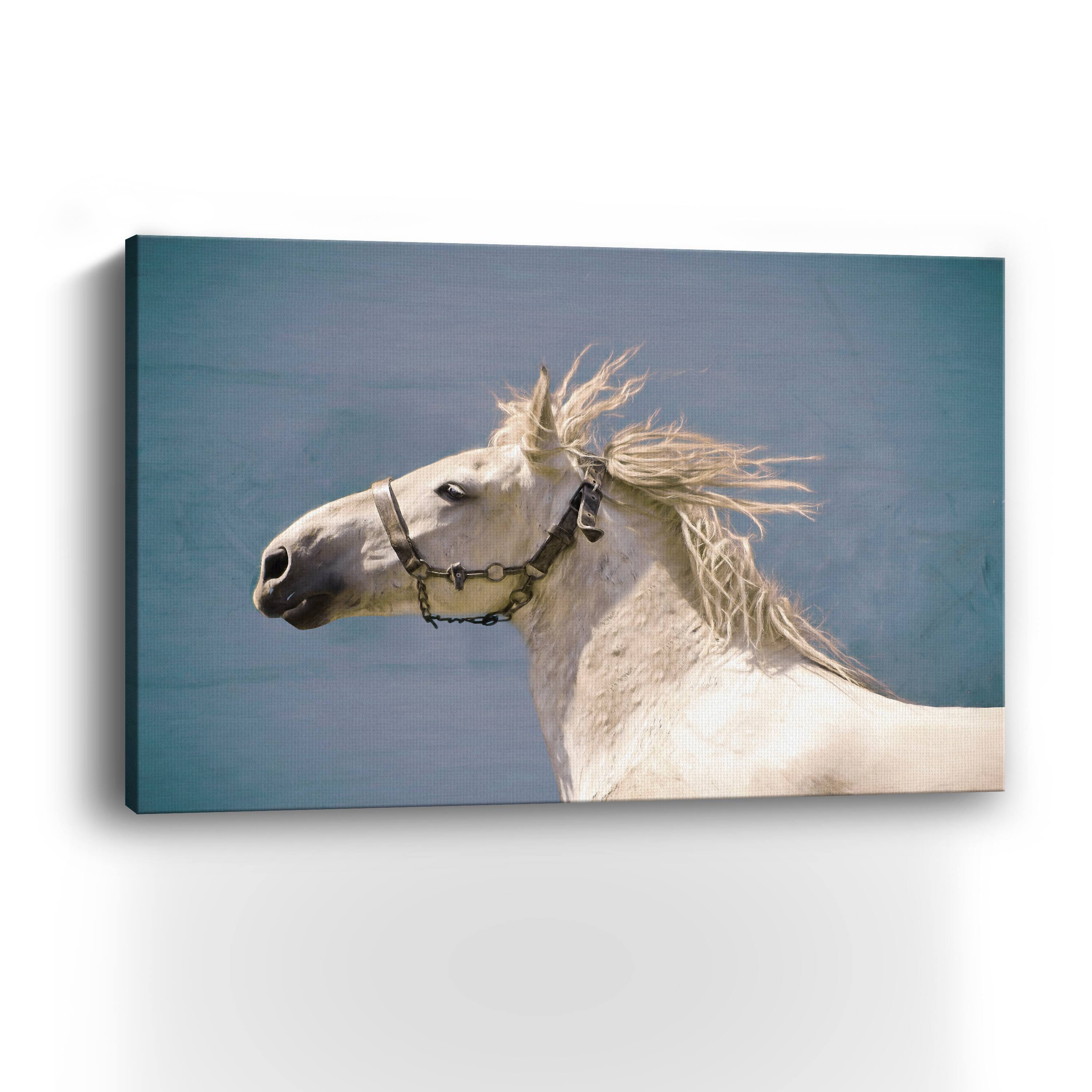 Scratch Canvas Giclee