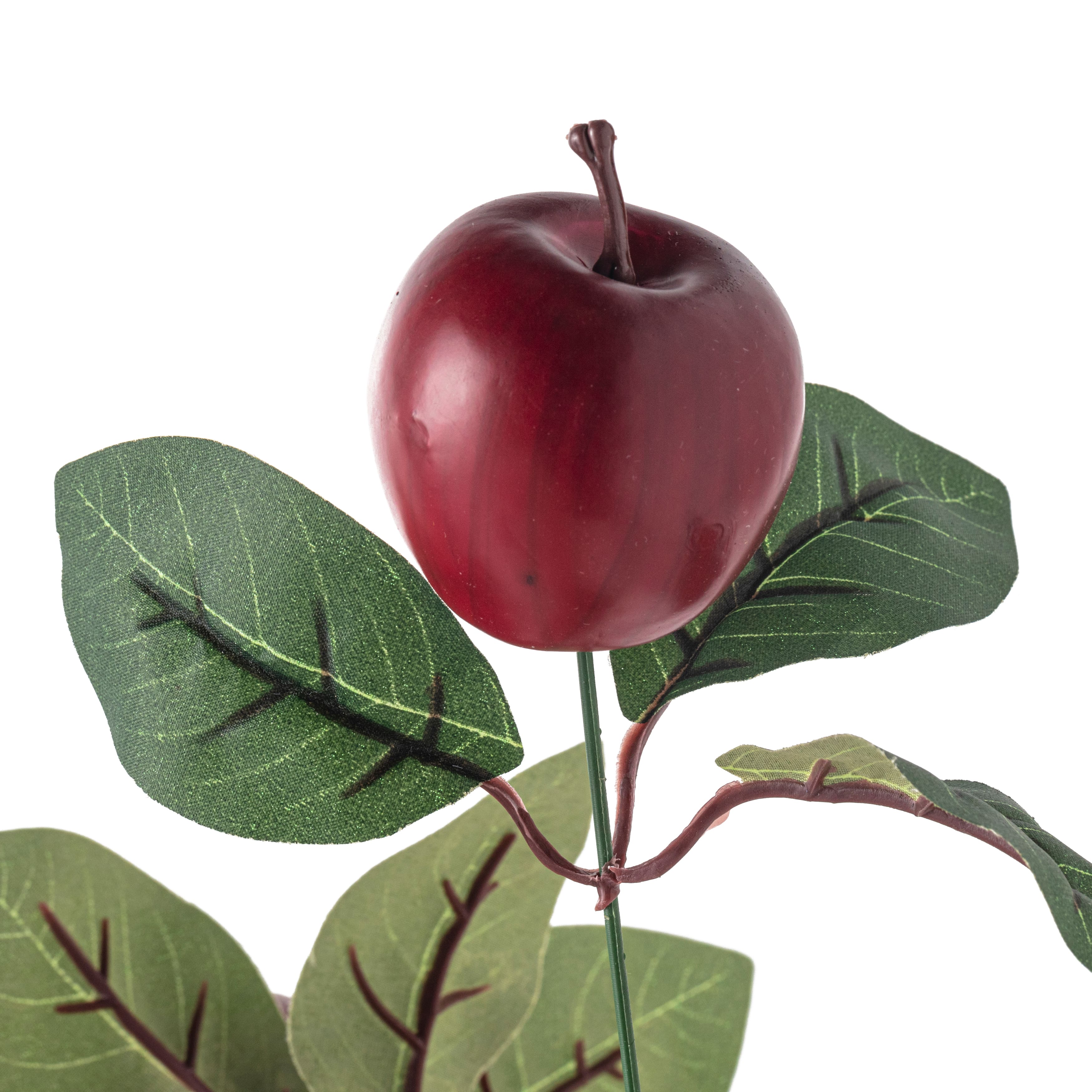 8 Pack: Red Apple Bush by Ashland&#xAE;