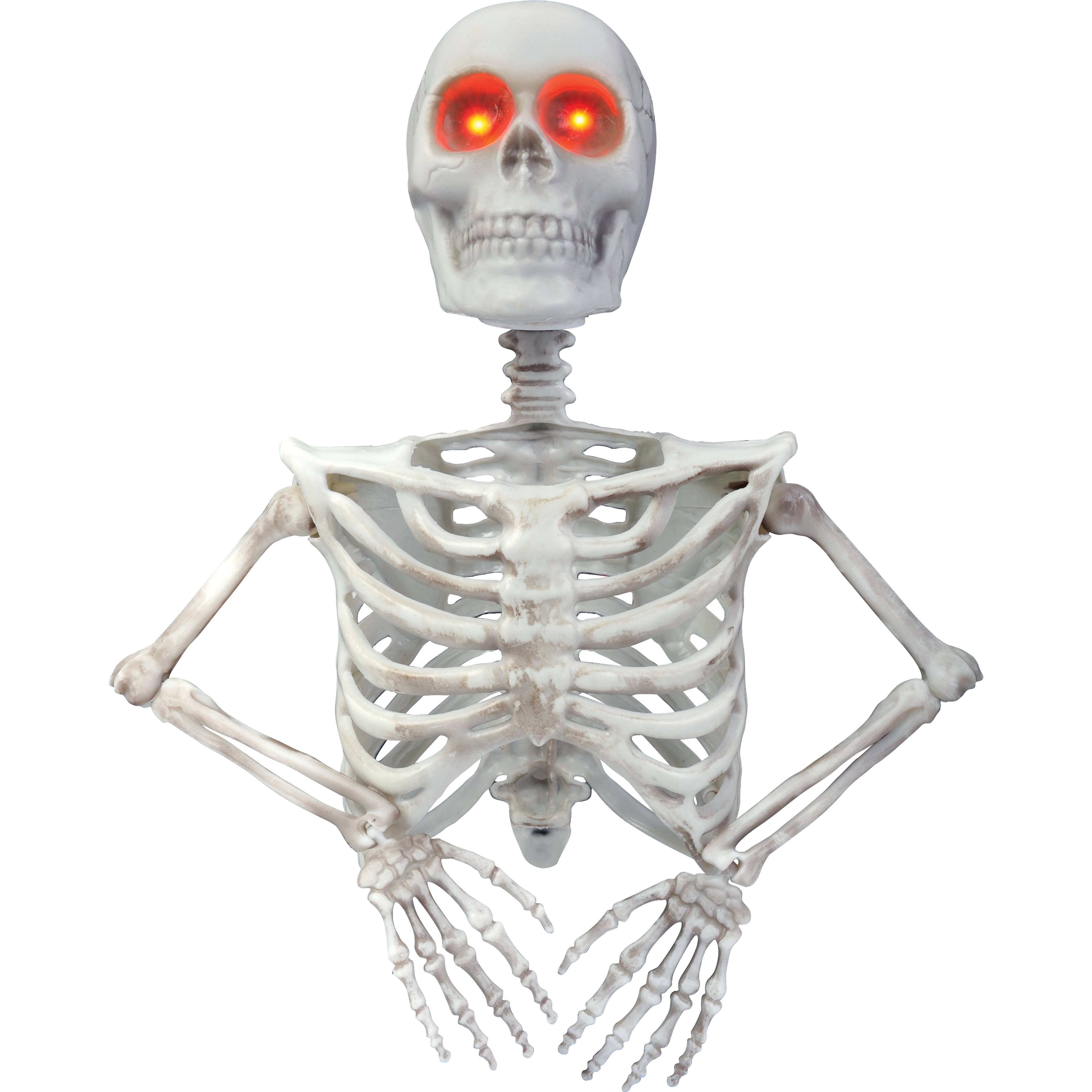 Ashland Halloween skeleton bundle top