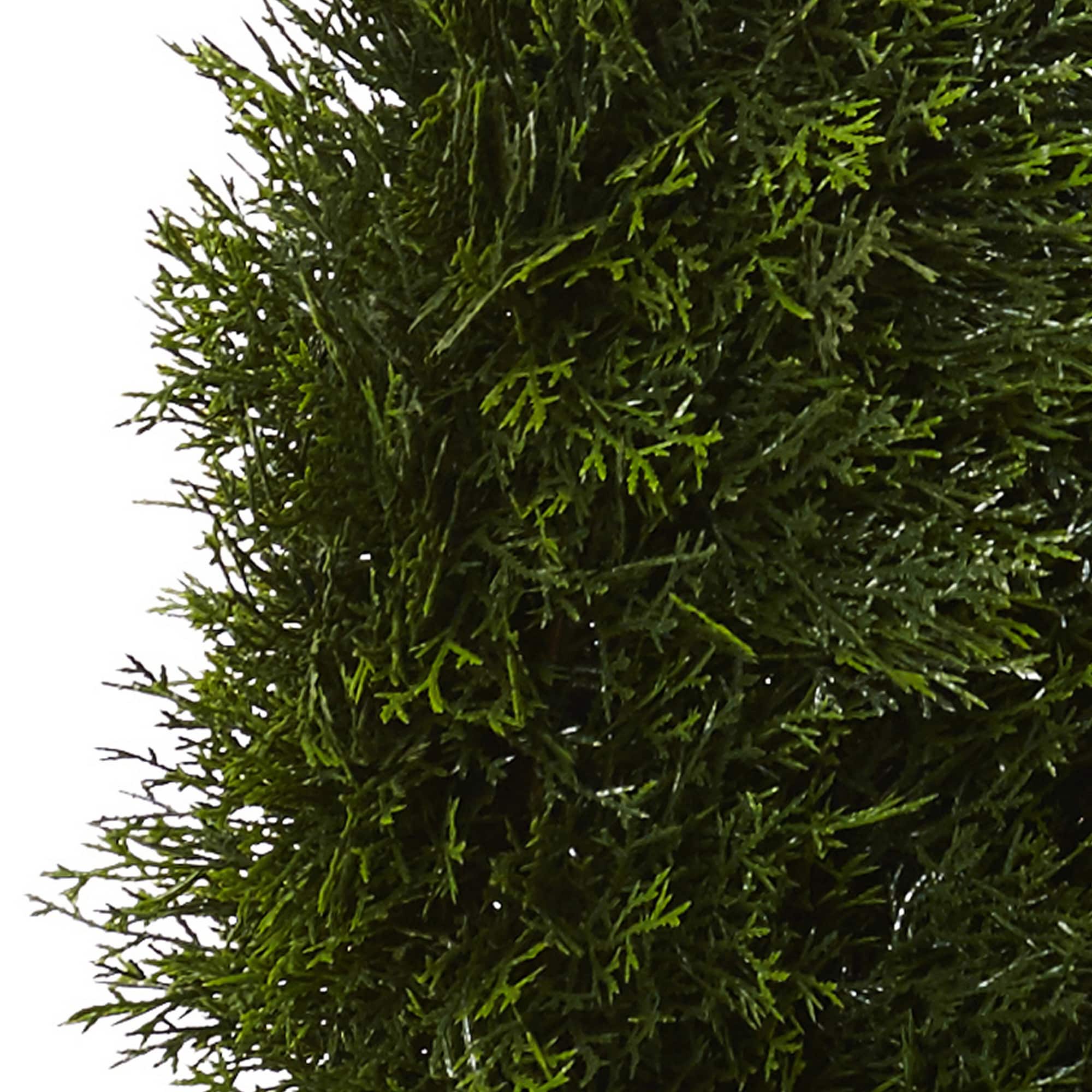 5ft. Potted Double Pond Cypress Spiral Topiary Tree