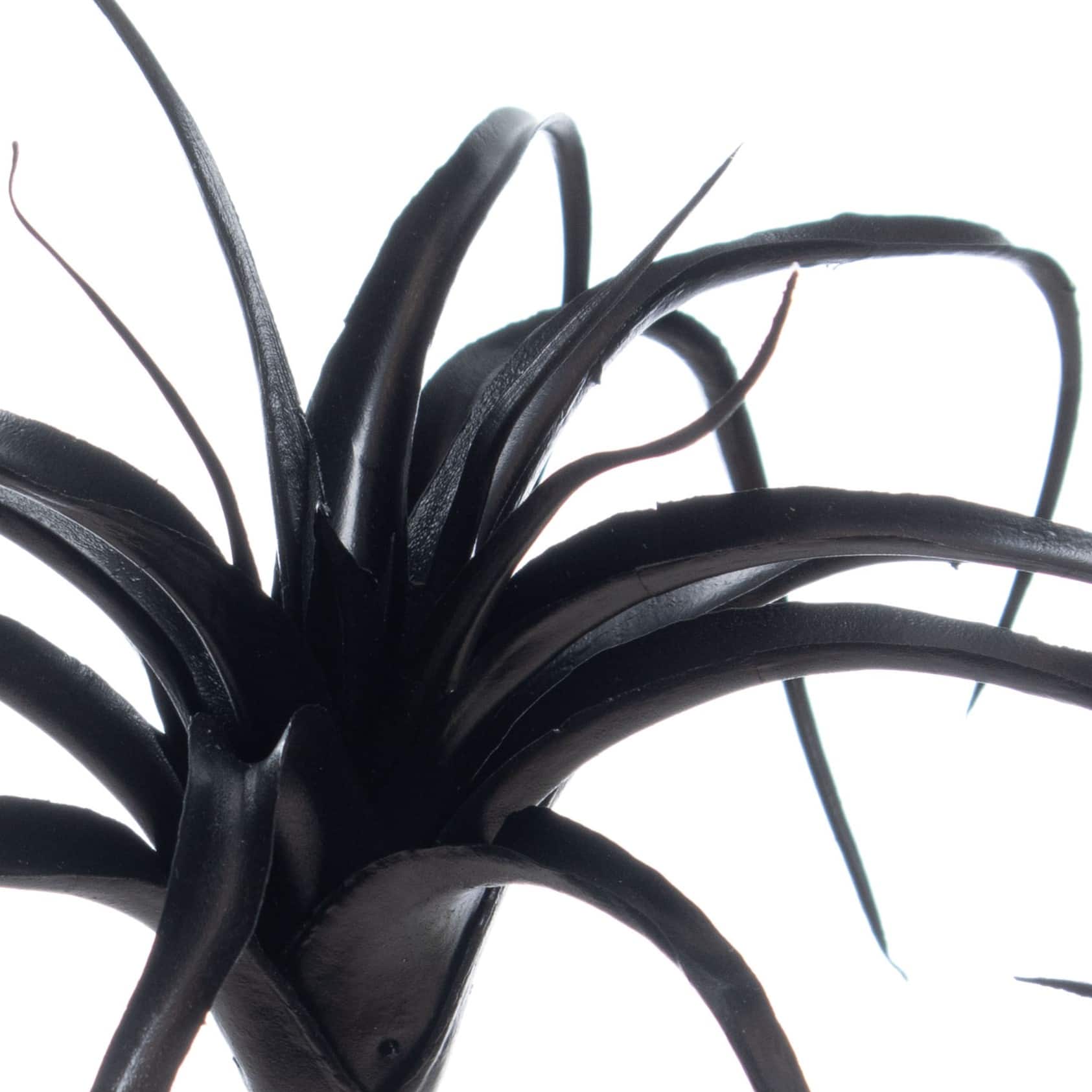 10&#x22; Black Tillandsia Pick by Ashland&#xAE;