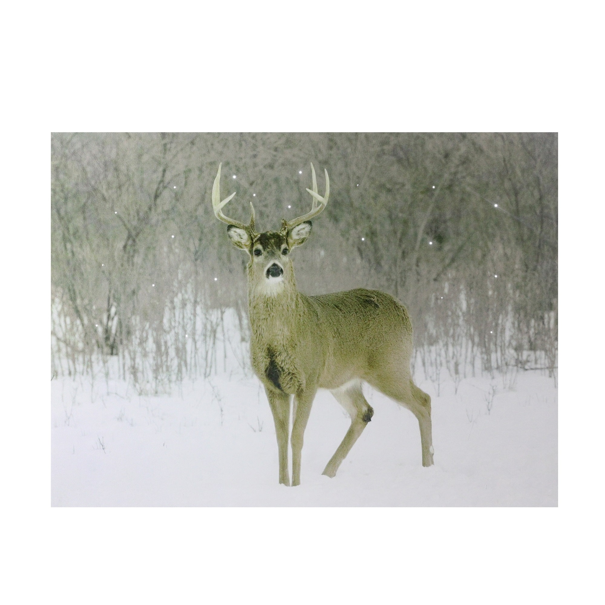Fiber Optic Majestic Buck Canvas Wall Art