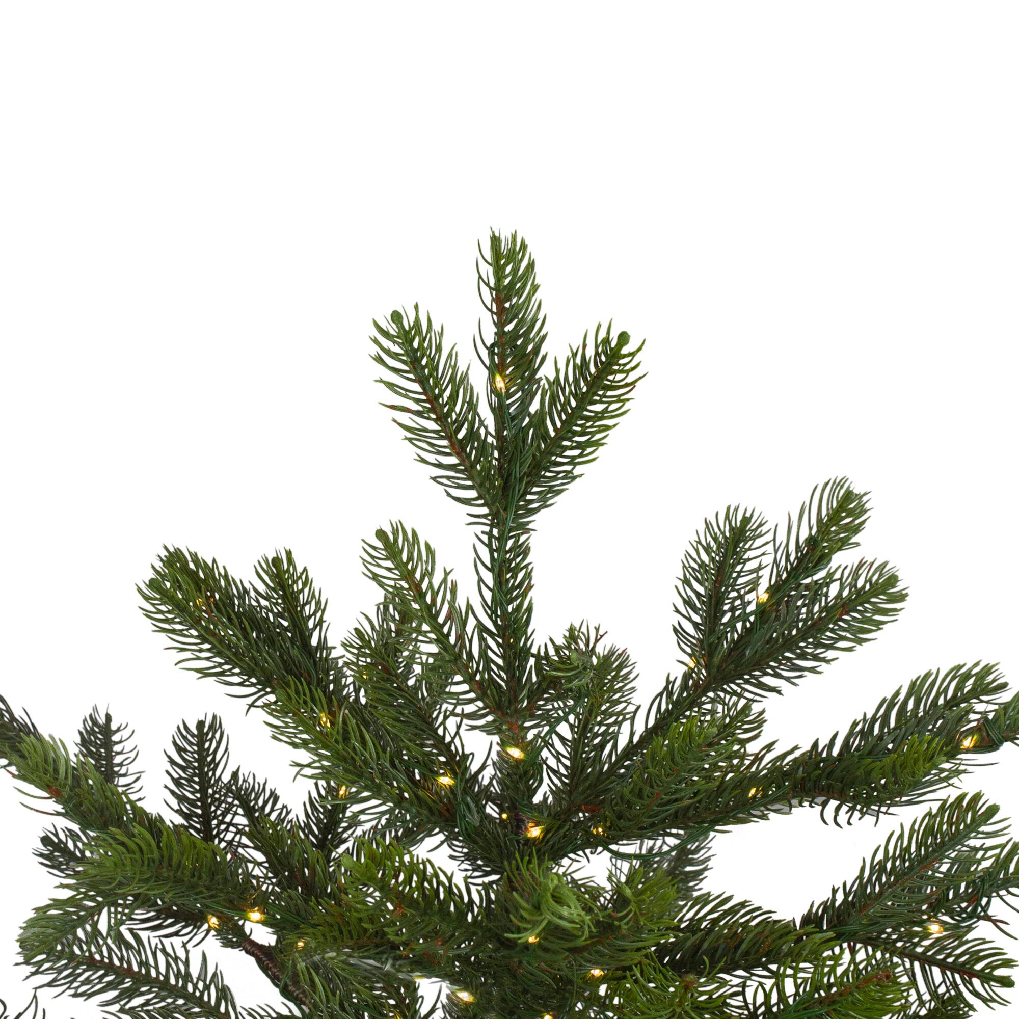 6.5ft. Pre-Lit Real Touch™️ Oregon Noble Fir Artificial Christmas Tree, Warm White LED Lights