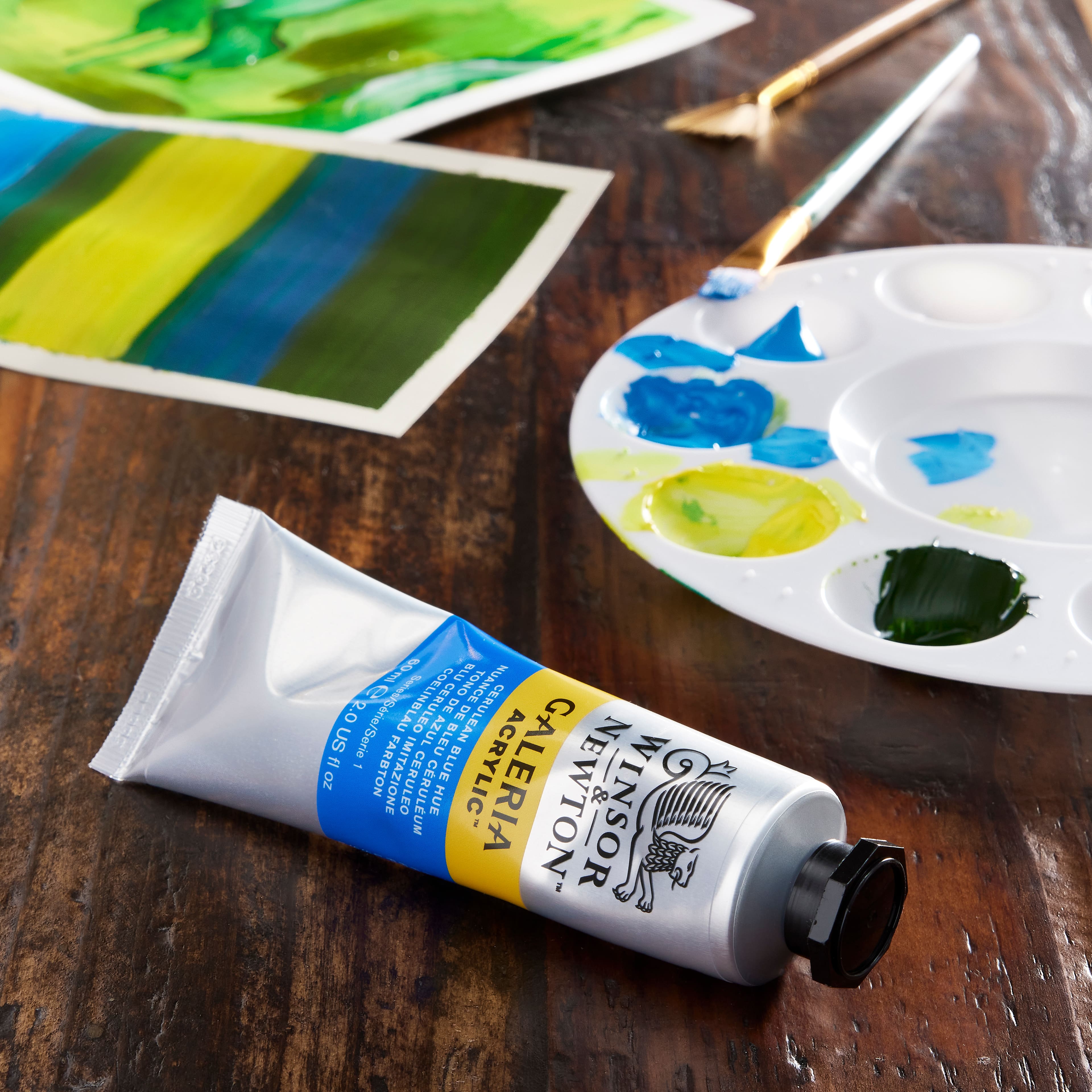 Winsor & Newton™ Galeria Acrylic™, 60mL