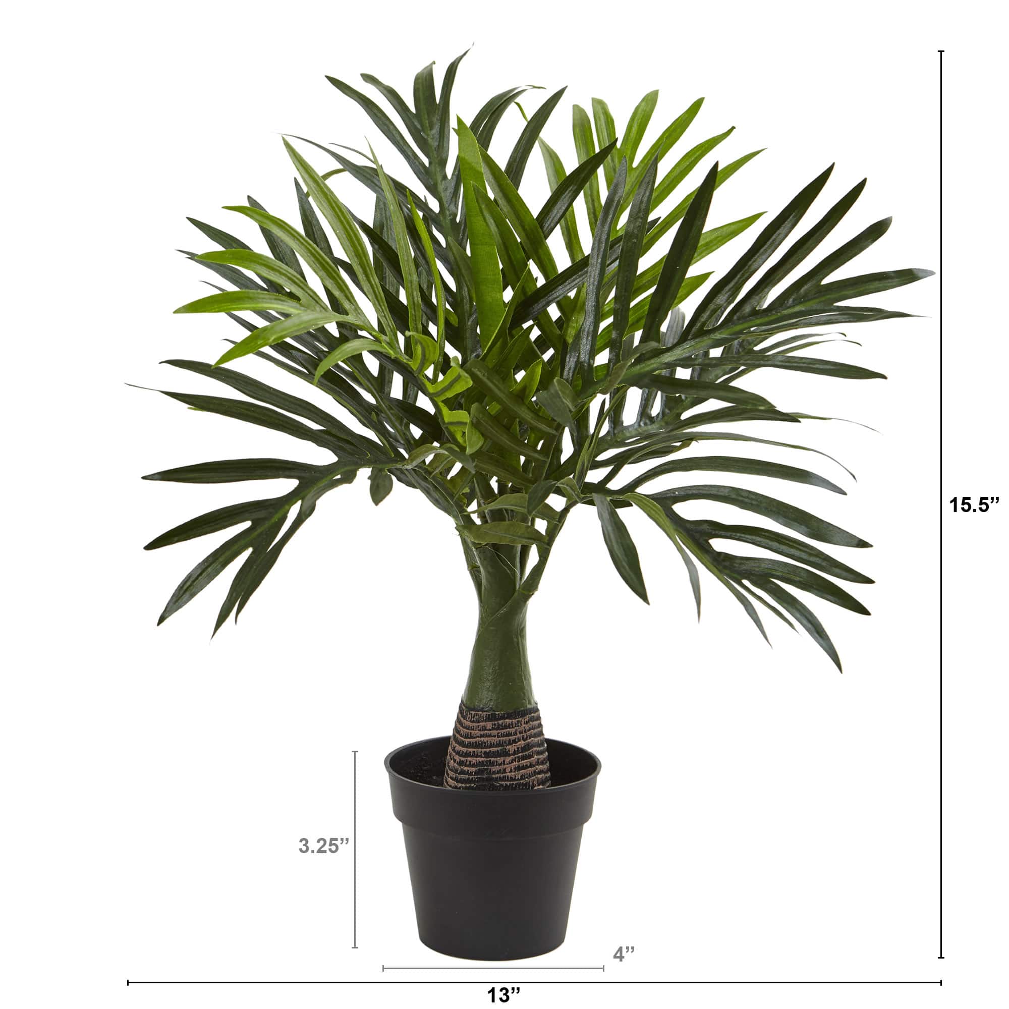 15.5&#x22; Potted Mini Areca Palm Plant