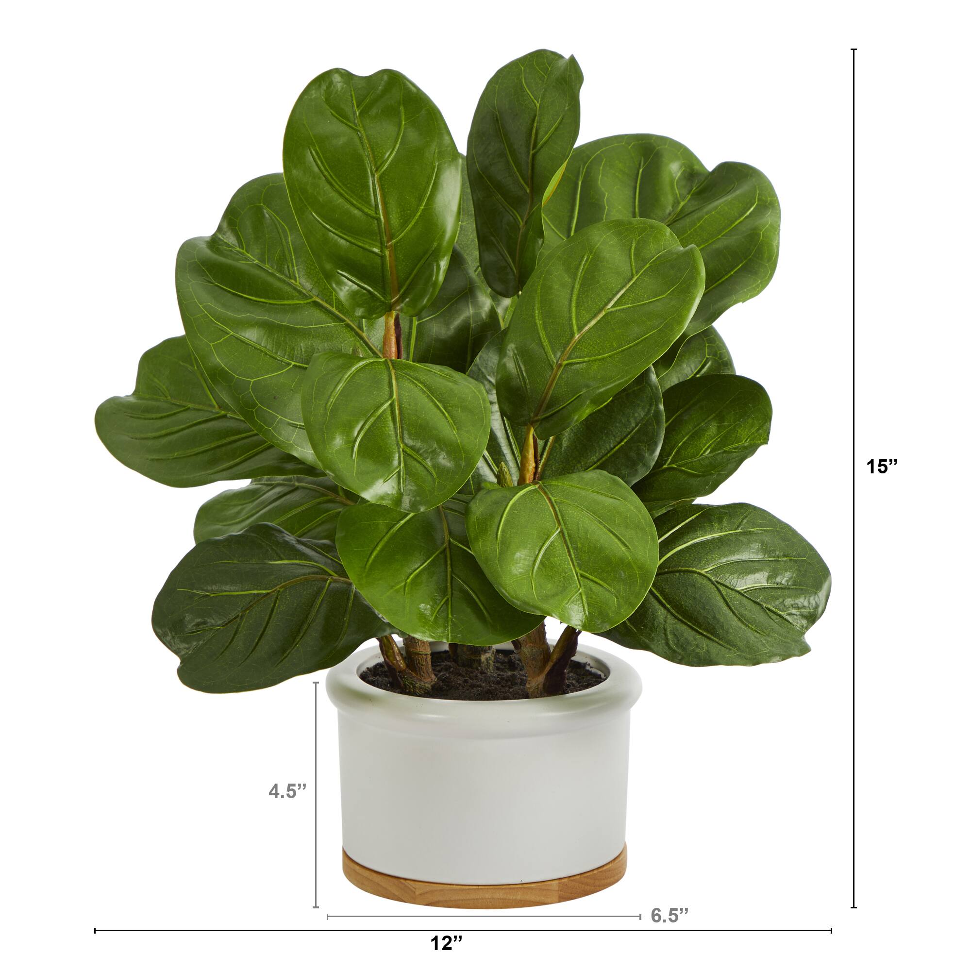 15&#x22; Fiddle Leaf Tree in White Planter