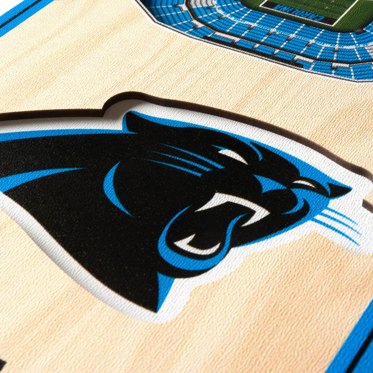 6&#x22; x 19&#x22; 3D StadiumView Banner