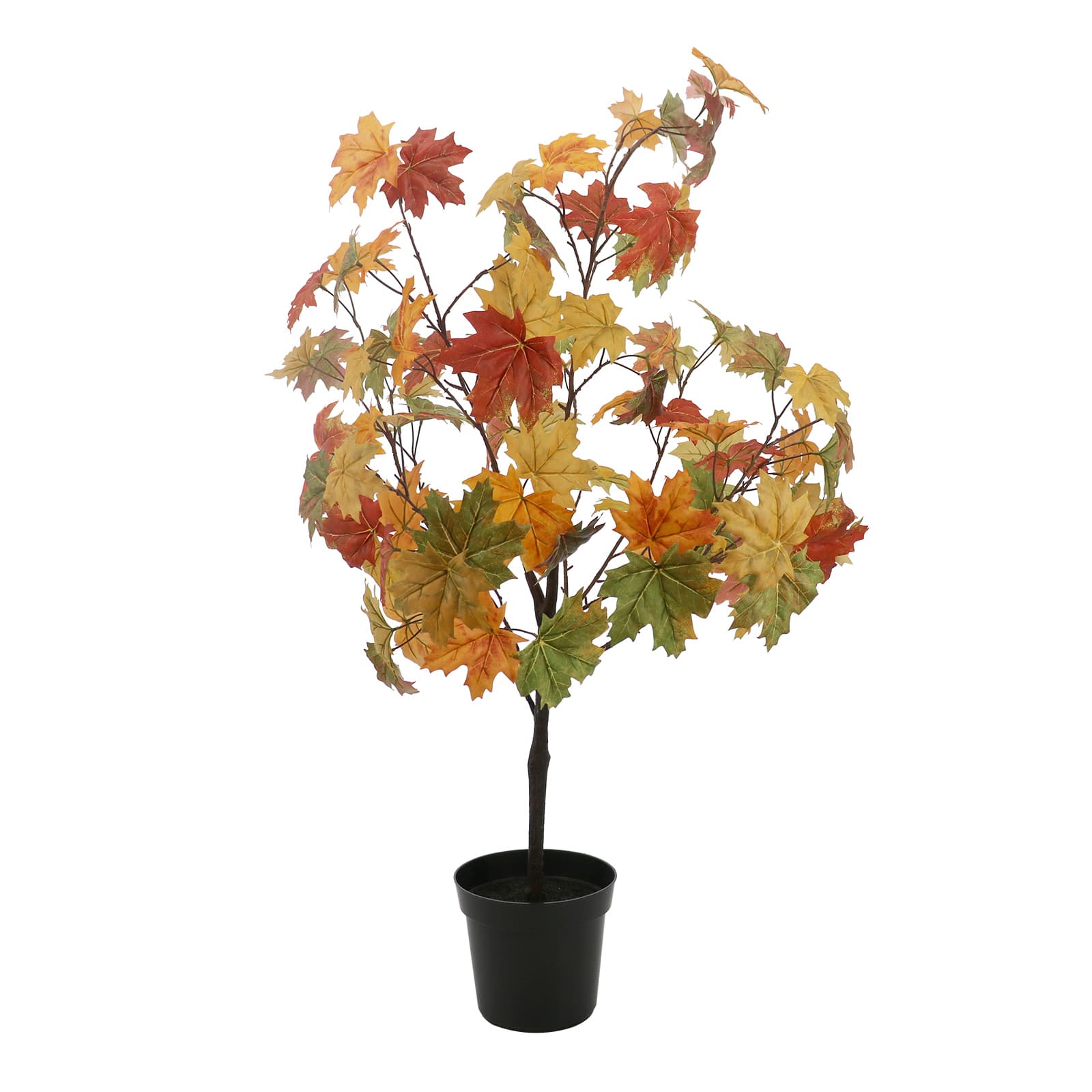 4ft. Yellow, Orange &#x26; Green Leaf Maple Tree by Ashland&#xAE;