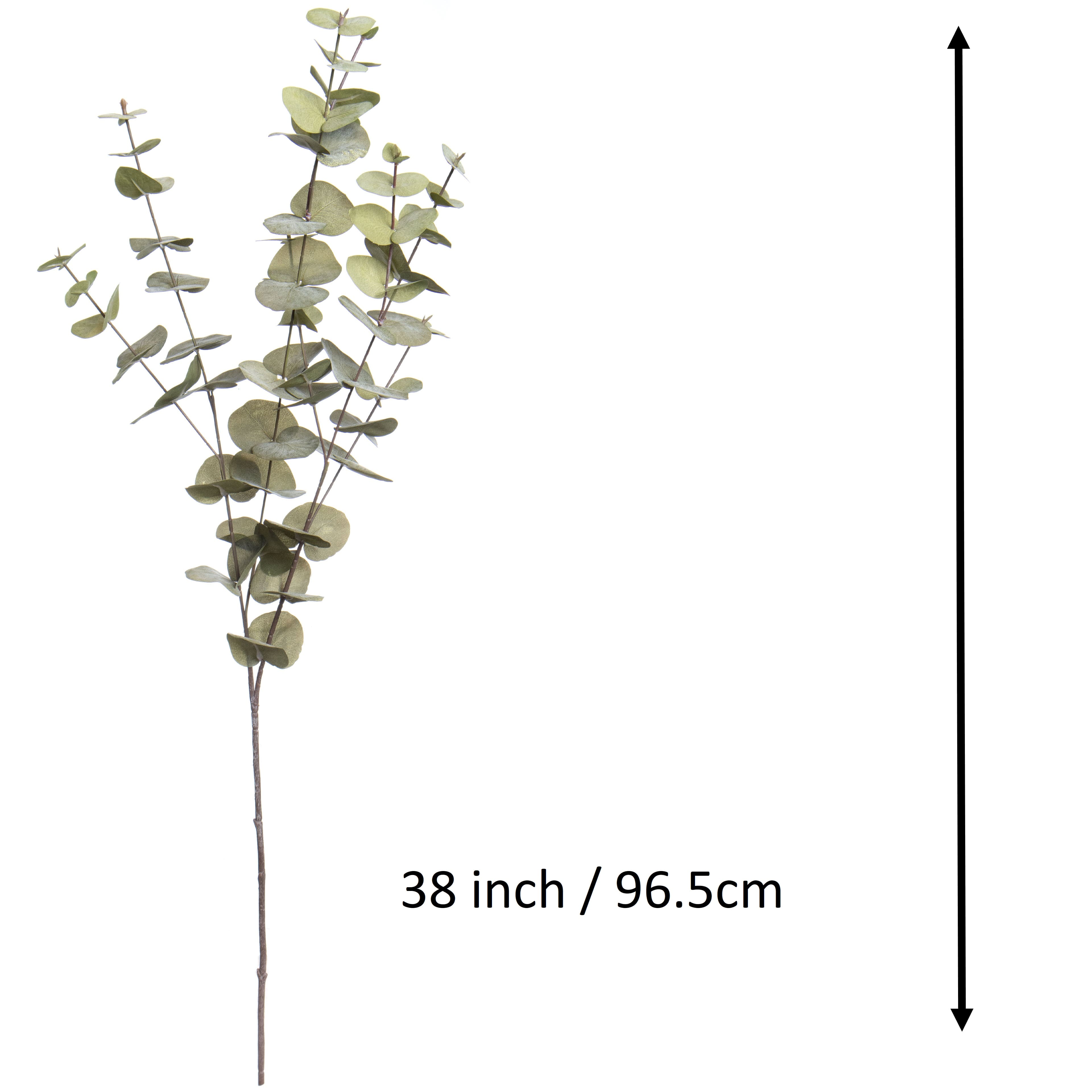 38&#x22; Light Green Eucalyptus Stem by Ashland&#xAE; Fall