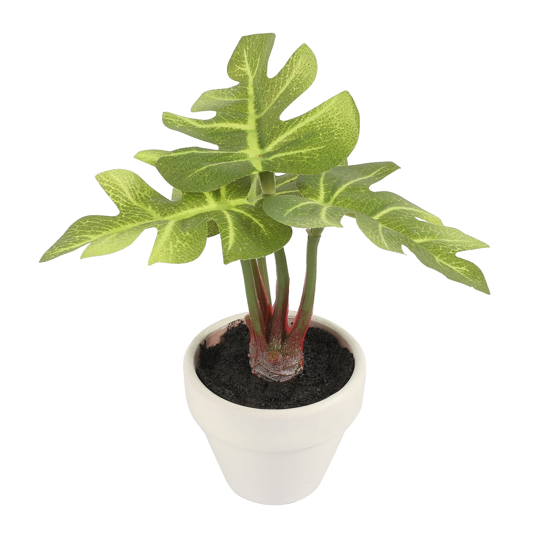 4&#x22; Potted Monstera Plant by Ashland&#xAE;