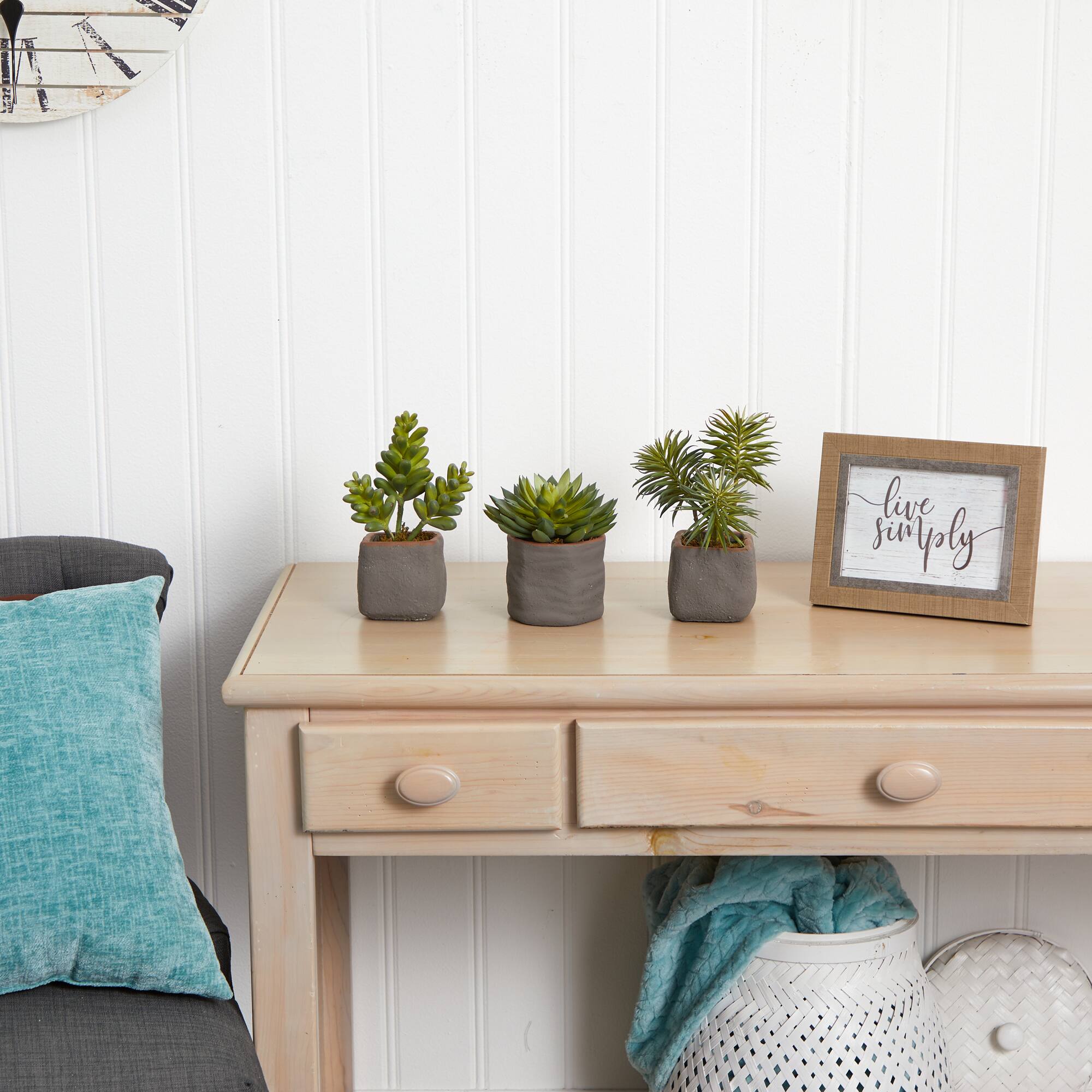 8" Succulent Trio in Gray Planter