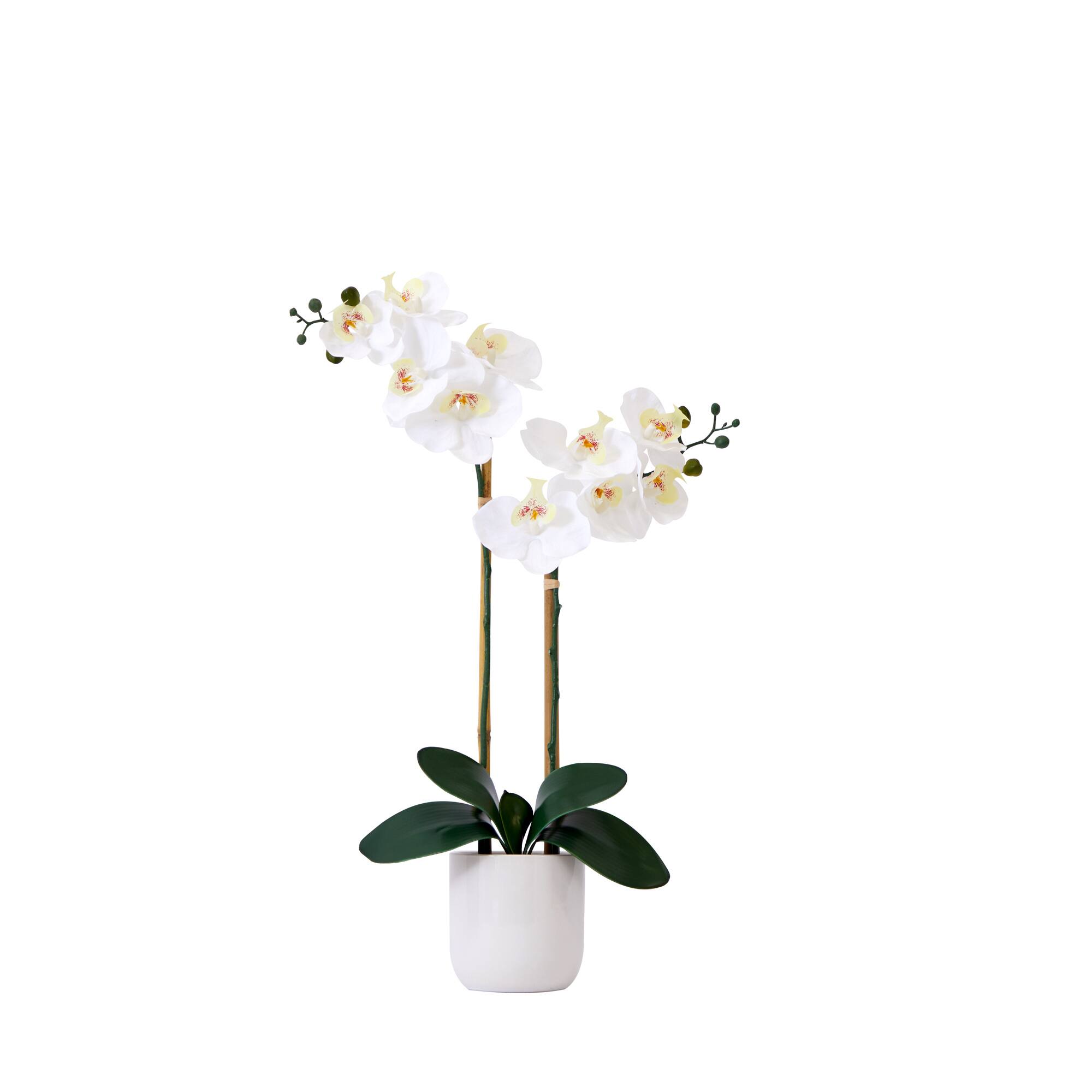 26" Artificial Real Touch White Double Orchid Phalaenopsis with Decorative Vase