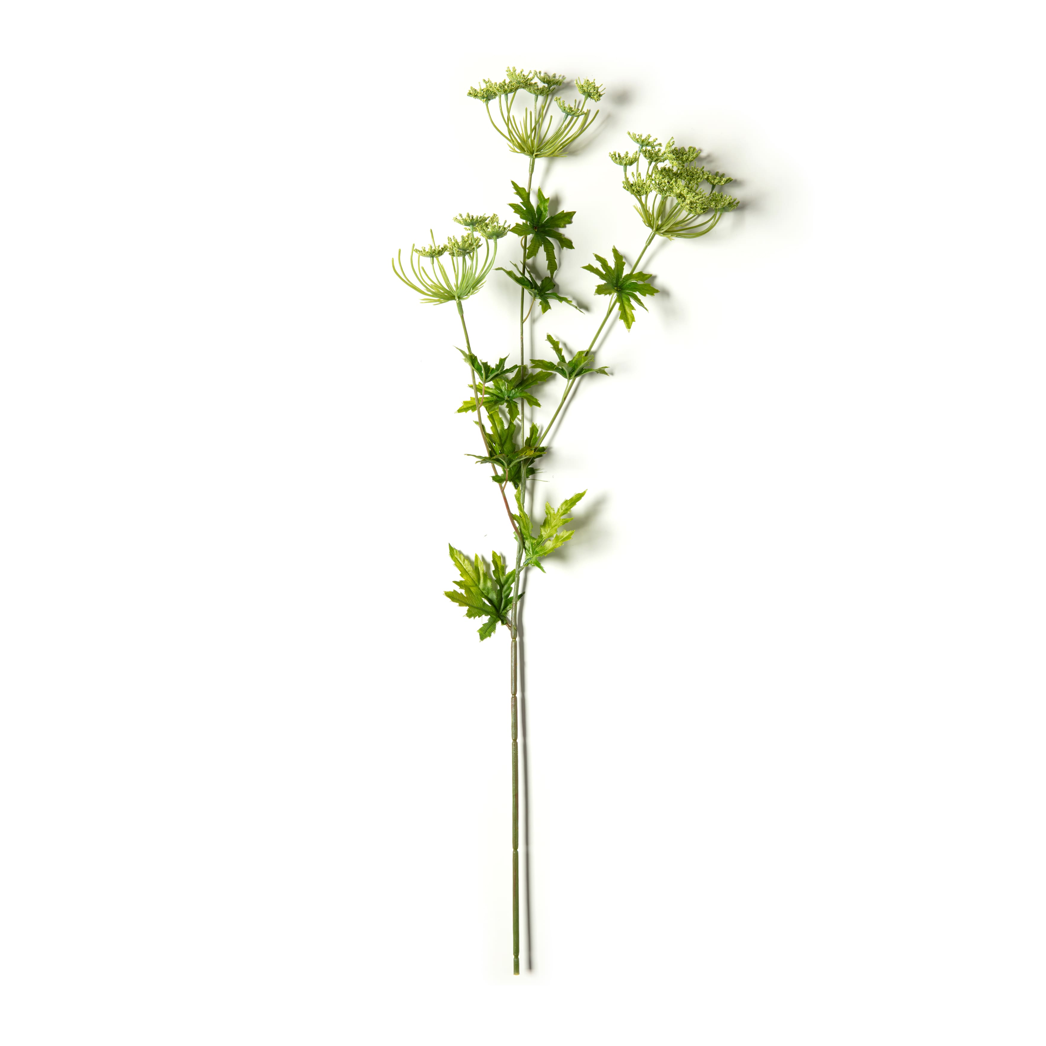12 Pack: Light Green Queen Anne's Lace Spray by Ashland®
