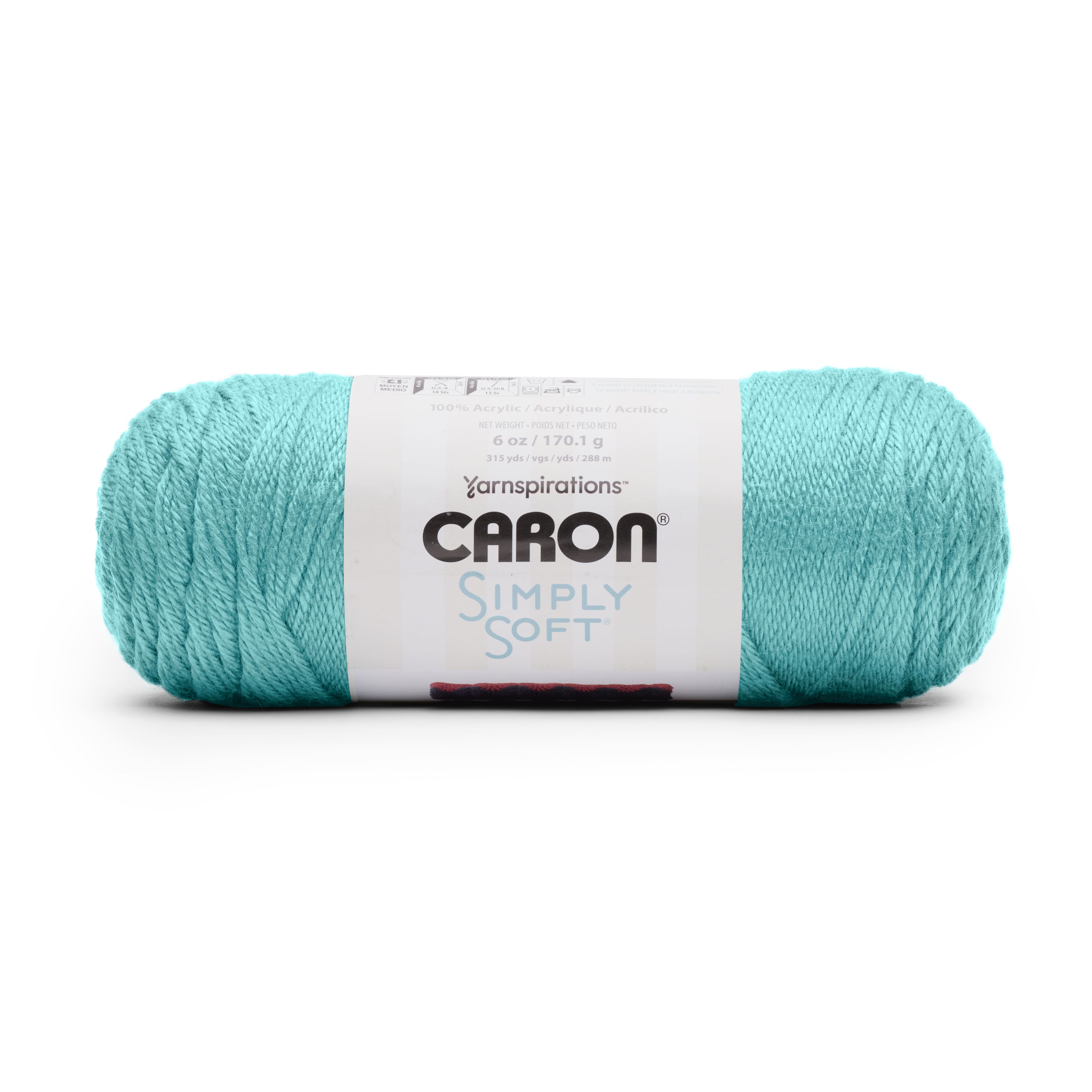 Caron® Simply Soft® Solid Yarn