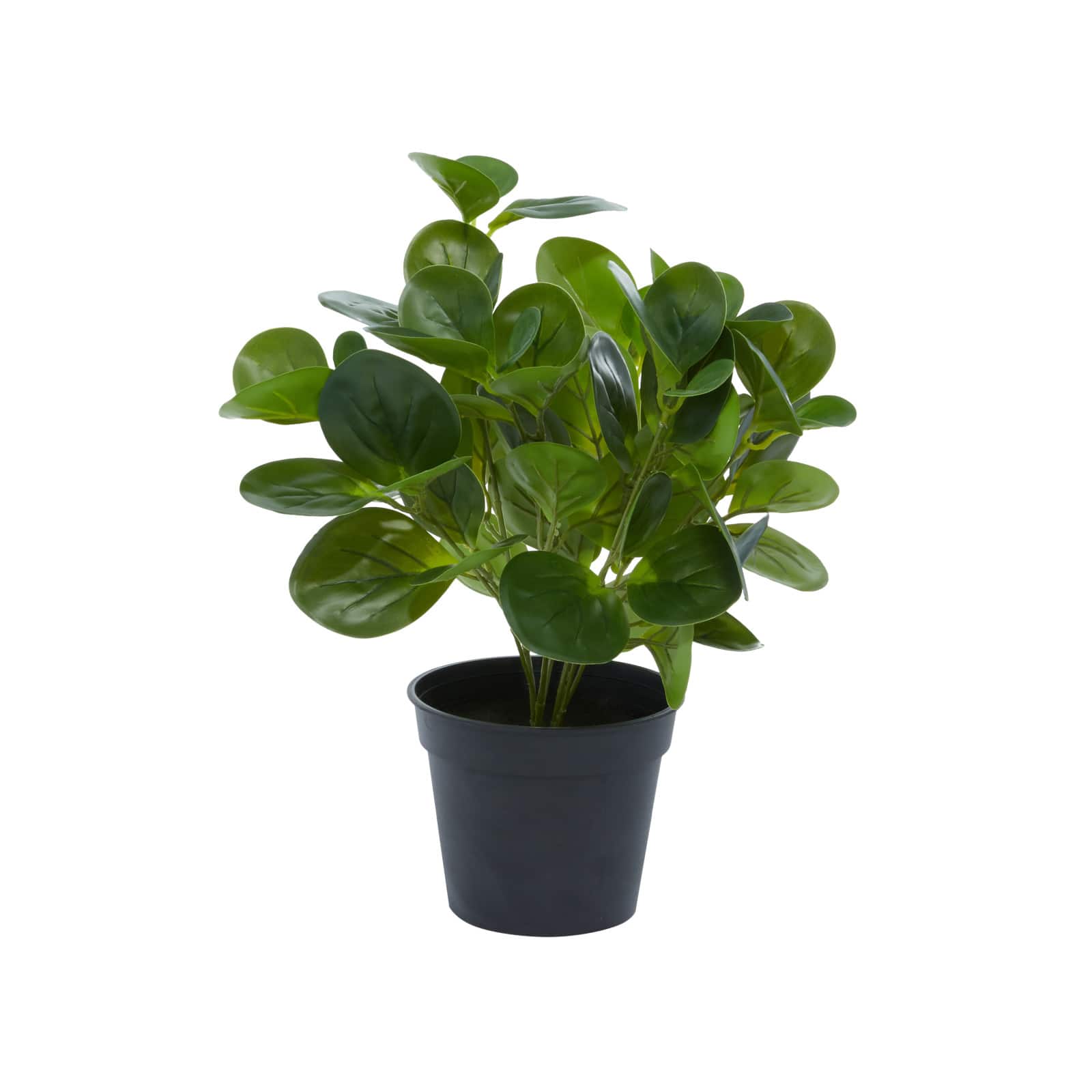 Green Plastic Traditional Artificial Foliage, 10" x 7" x 13"