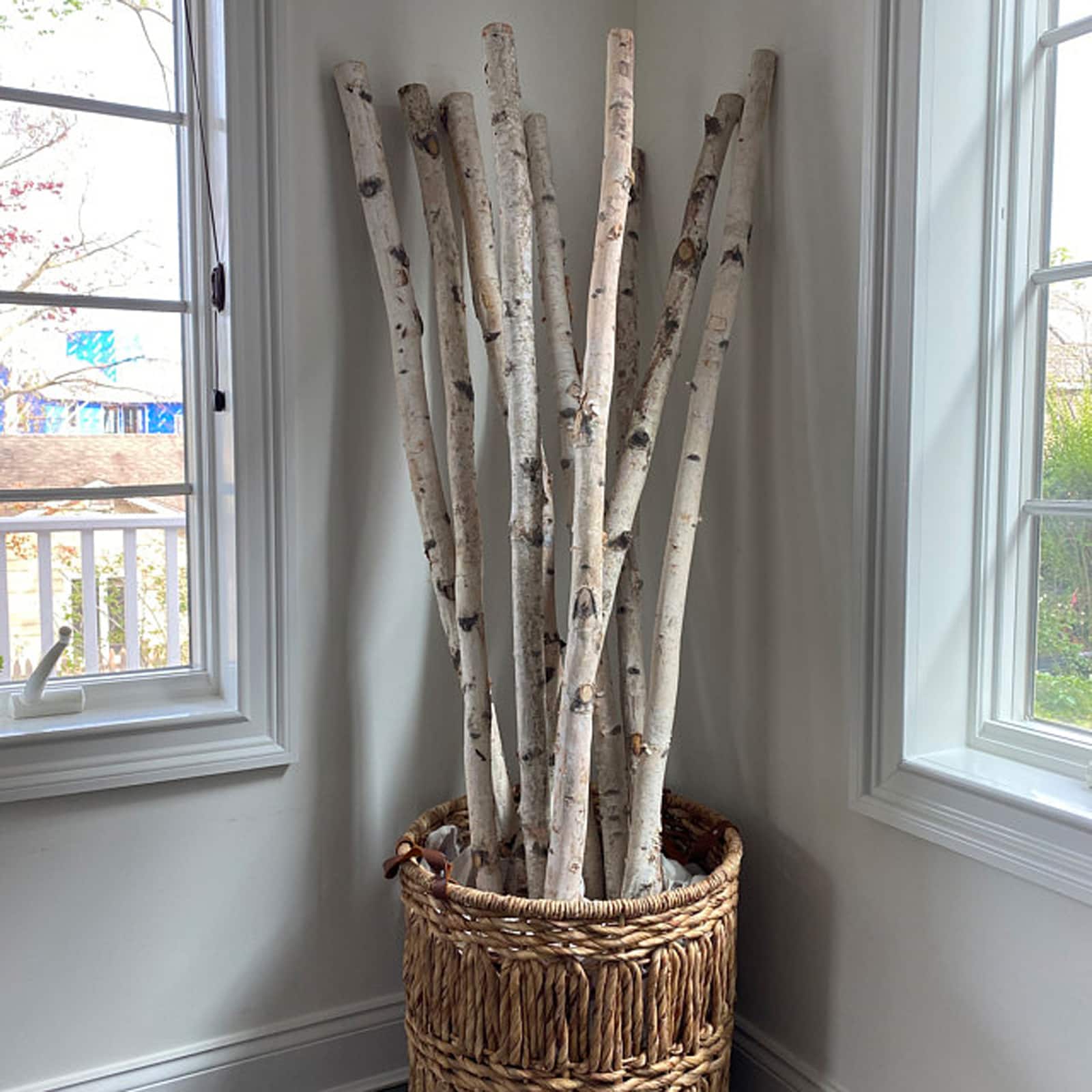 Wilson&#xAE; Enterprises White Birch Poles