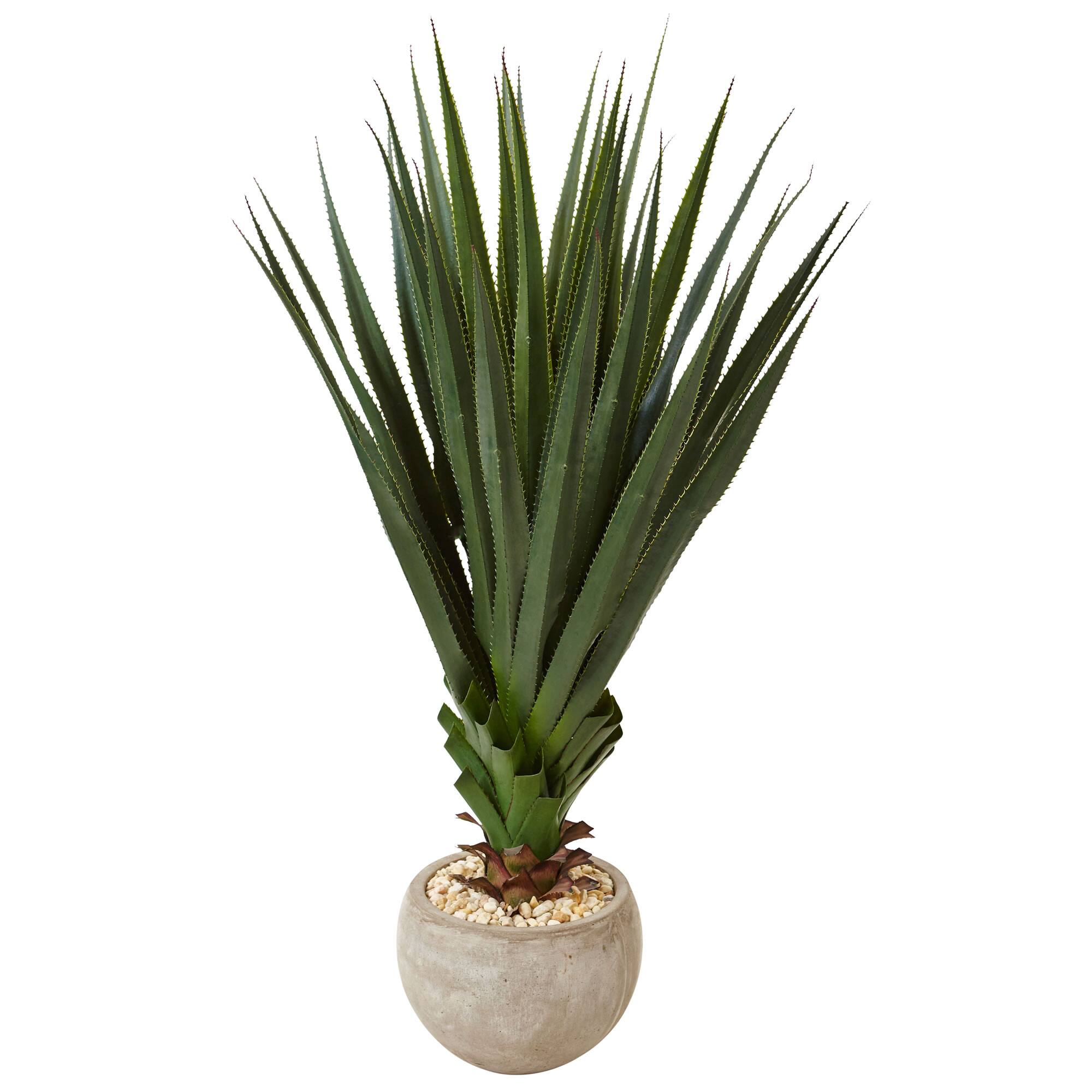 4.5ft. Spiked Agave in Sand Colored Bowl