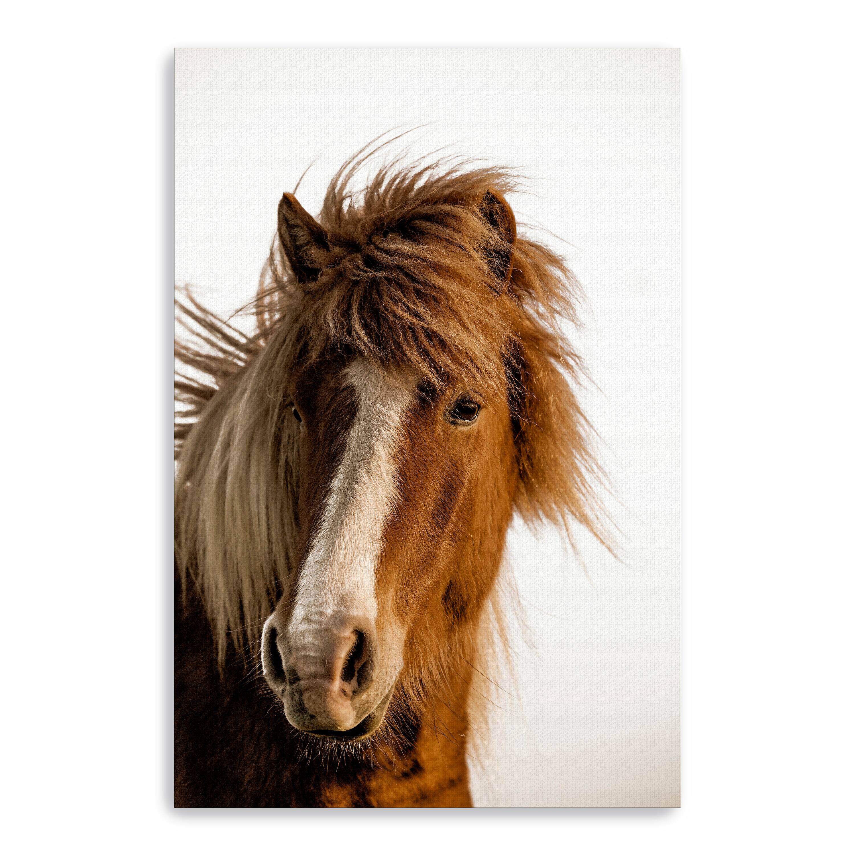 Sunset Light Canvas Giclee