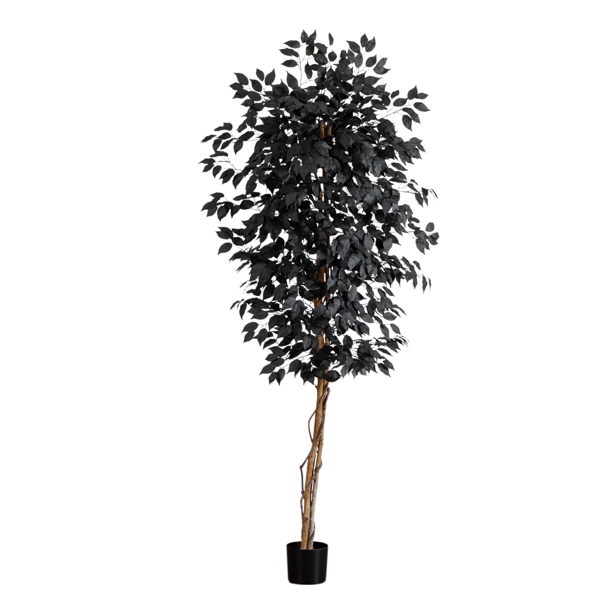 6ft. Artificial Halloween Black Ficus Tree with Natural Trunk