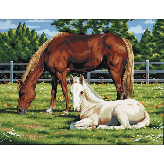 Royal & Langnickel® Painting By Numbers™ Artist Canvas Series Horses In Field Kit D597692s Royal & Langnickel® Painting By Numbers™ Artist Canvas Series Horses In Field Kit D597692s